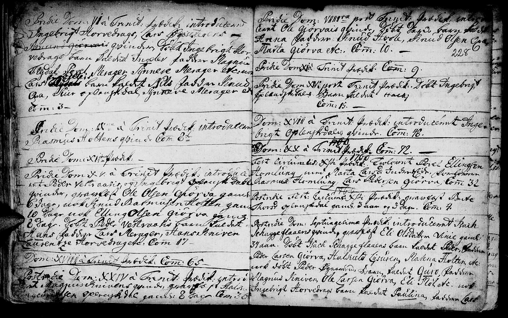Ministerialprotokoller, klokkerbøker og fødselsregistre - Møre og Romsdal, AV/SAT-A-1454/519/L0242: Ministerialbok nr. 519A01 /3, 1736-1761, s. 228
