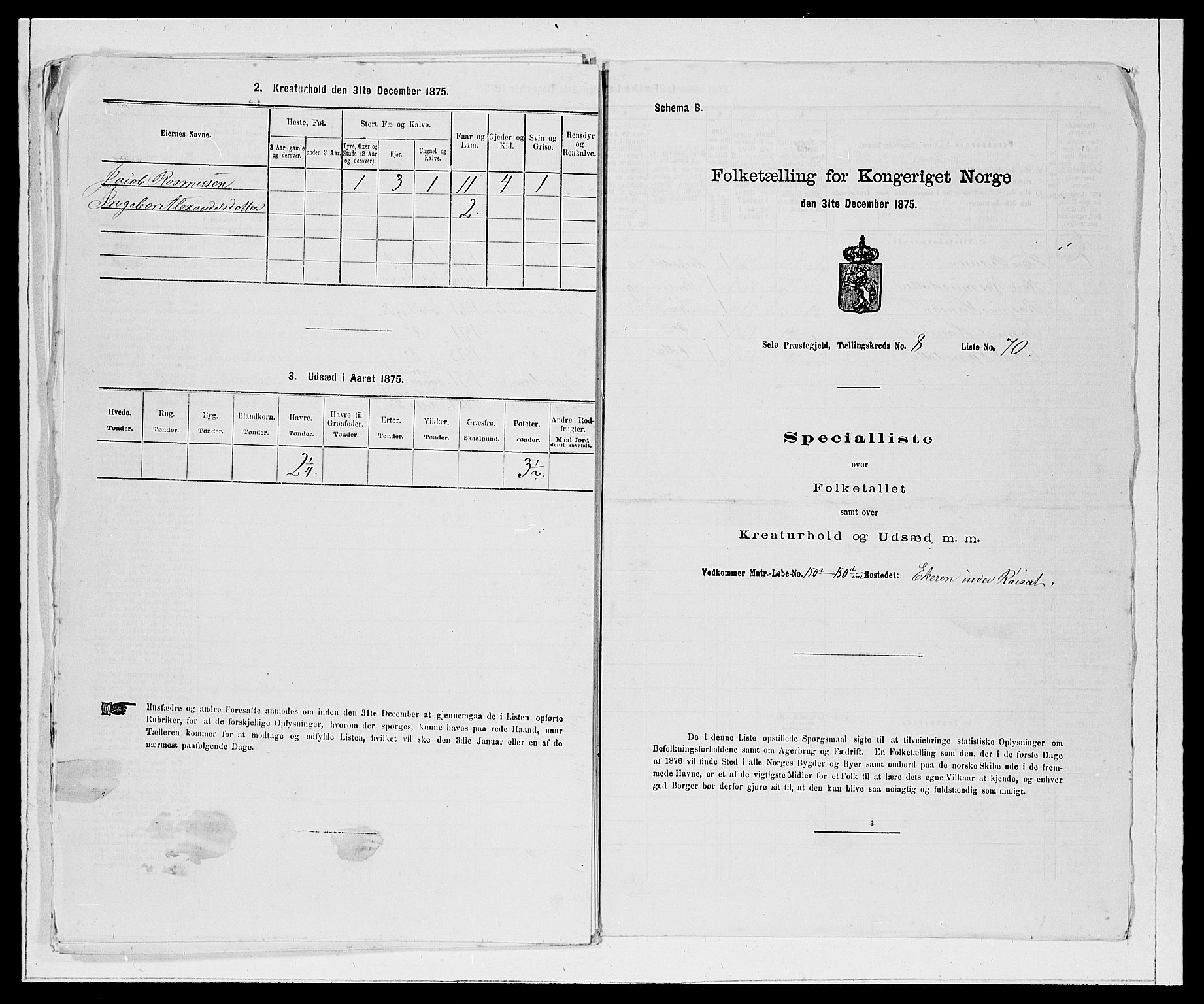 SAB, Folketelling 1875 for 1441P Selje prestegjeld, 1875, s. 1077