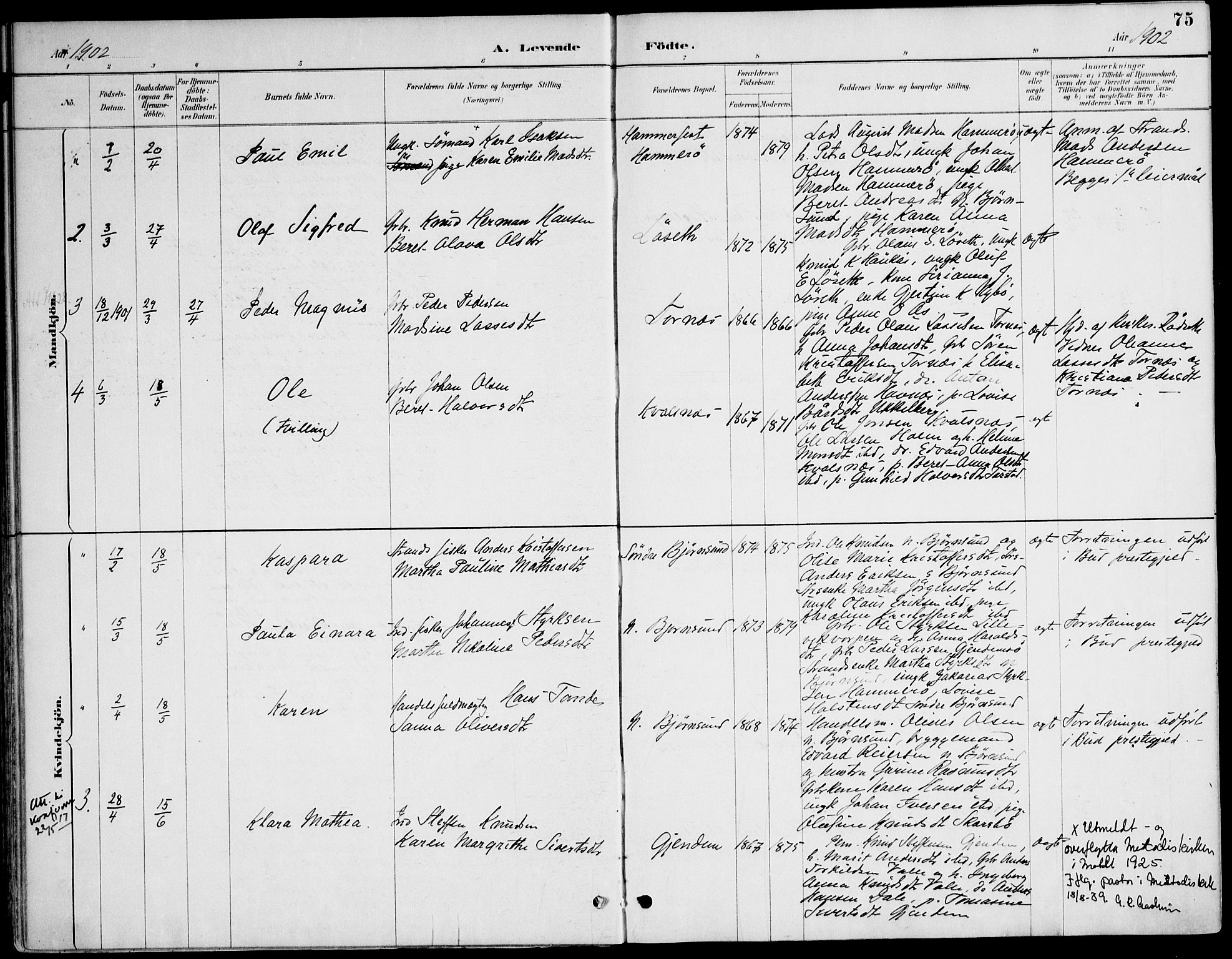 Ministerialprotokoller, klokkerbøker og fødselsregistre - Møre og Romsdal, AV/SAT-A-1454/565/L0750: Ministerialbok nr. 565A04, 1887-1905, s. 75