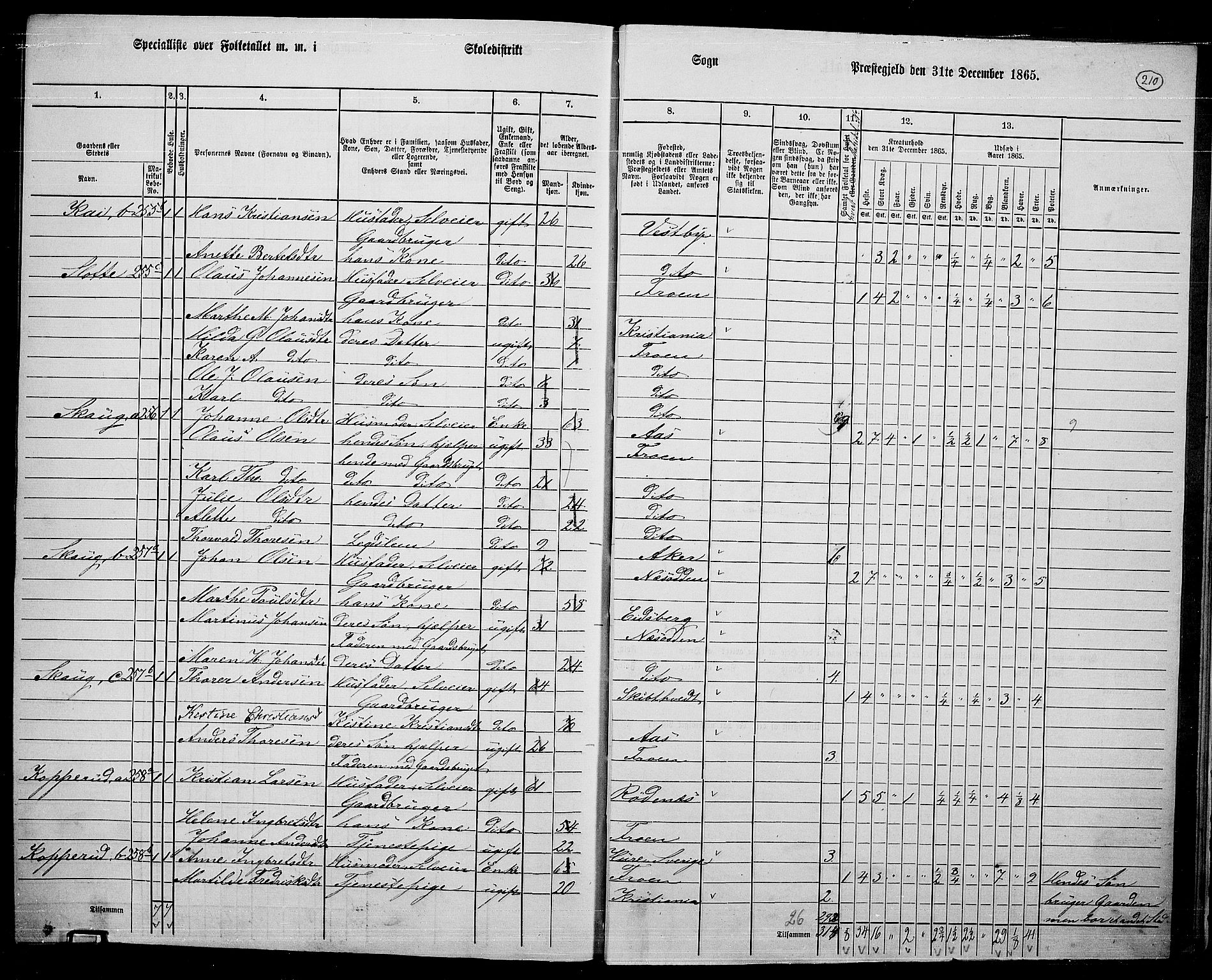 RA, Folketelling 1865 for 0215L Drøbak prestegjeld, Frogn sokn, 1865, s. 64