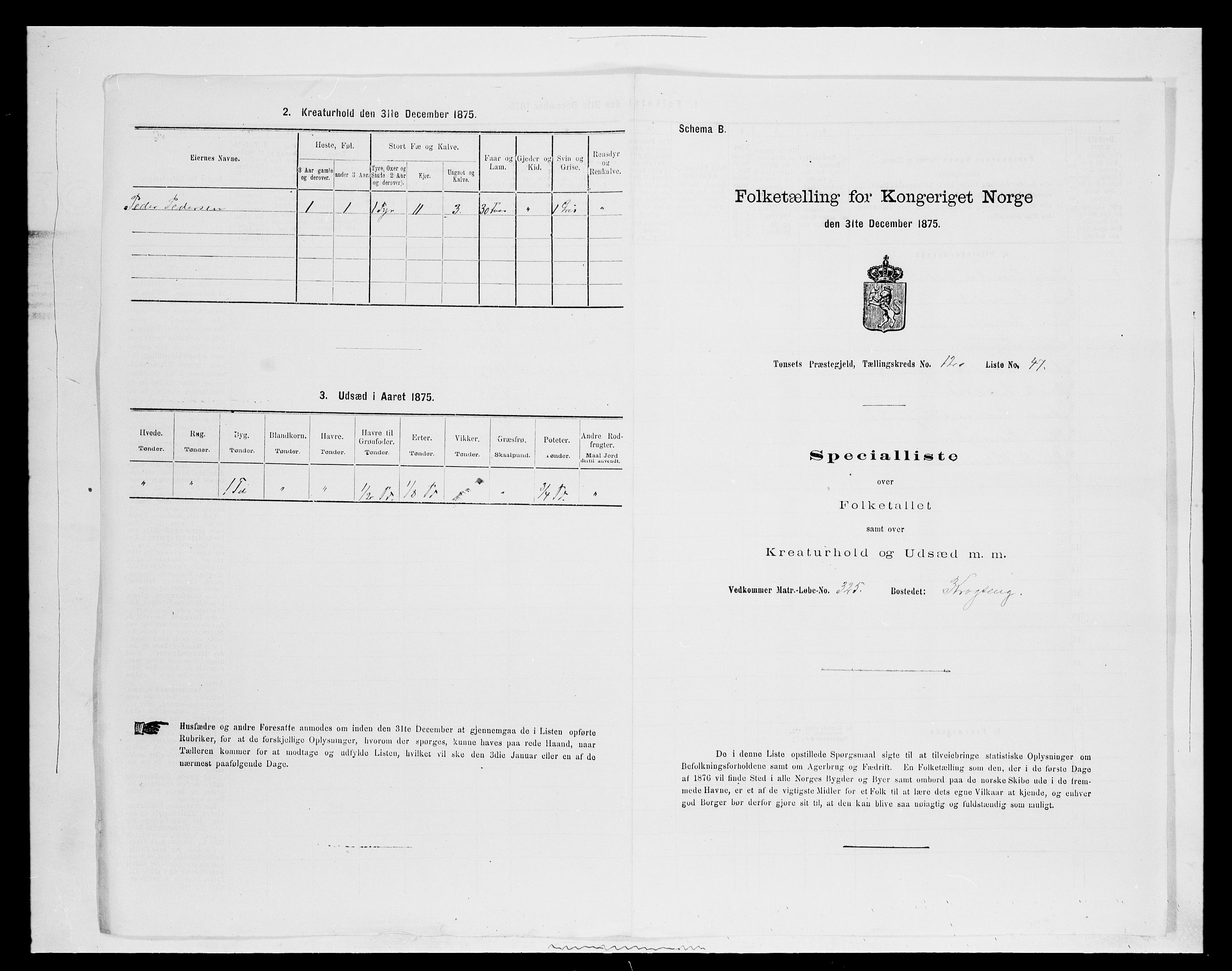 SAH, Folketelling 1875 for 0437P Tynset prestegjeld, 1875, s. 1145