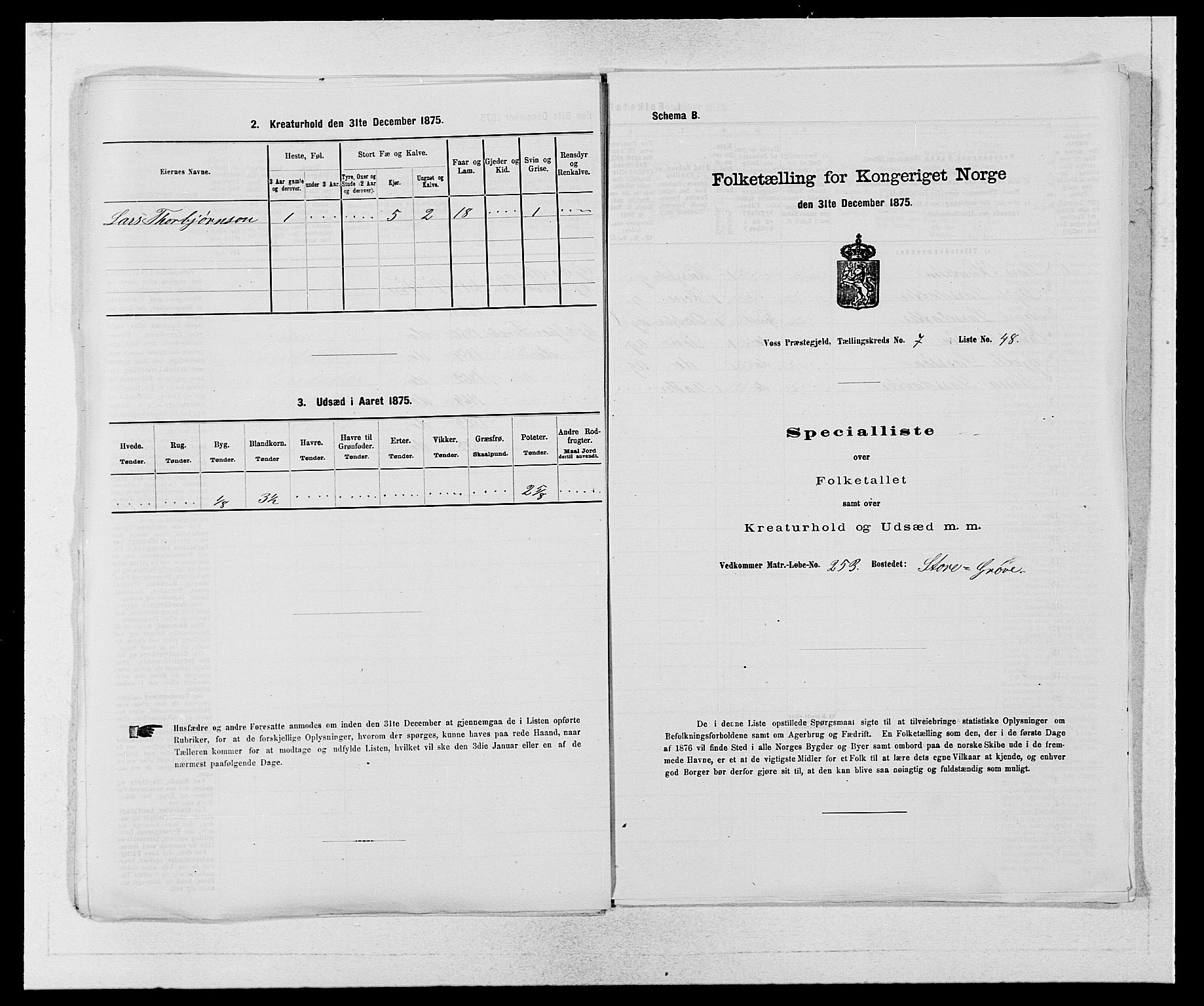 SAB, Folketelling 1875 for 1235P Voss prestegjeld, 1875, s. 895