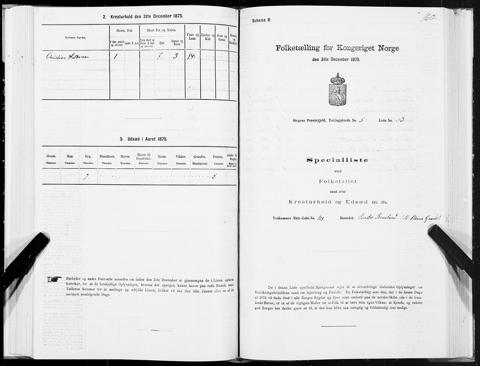 SAT, Folketelling 1875 for 1848P Steigen prestegjeld, 1875, s. 2160