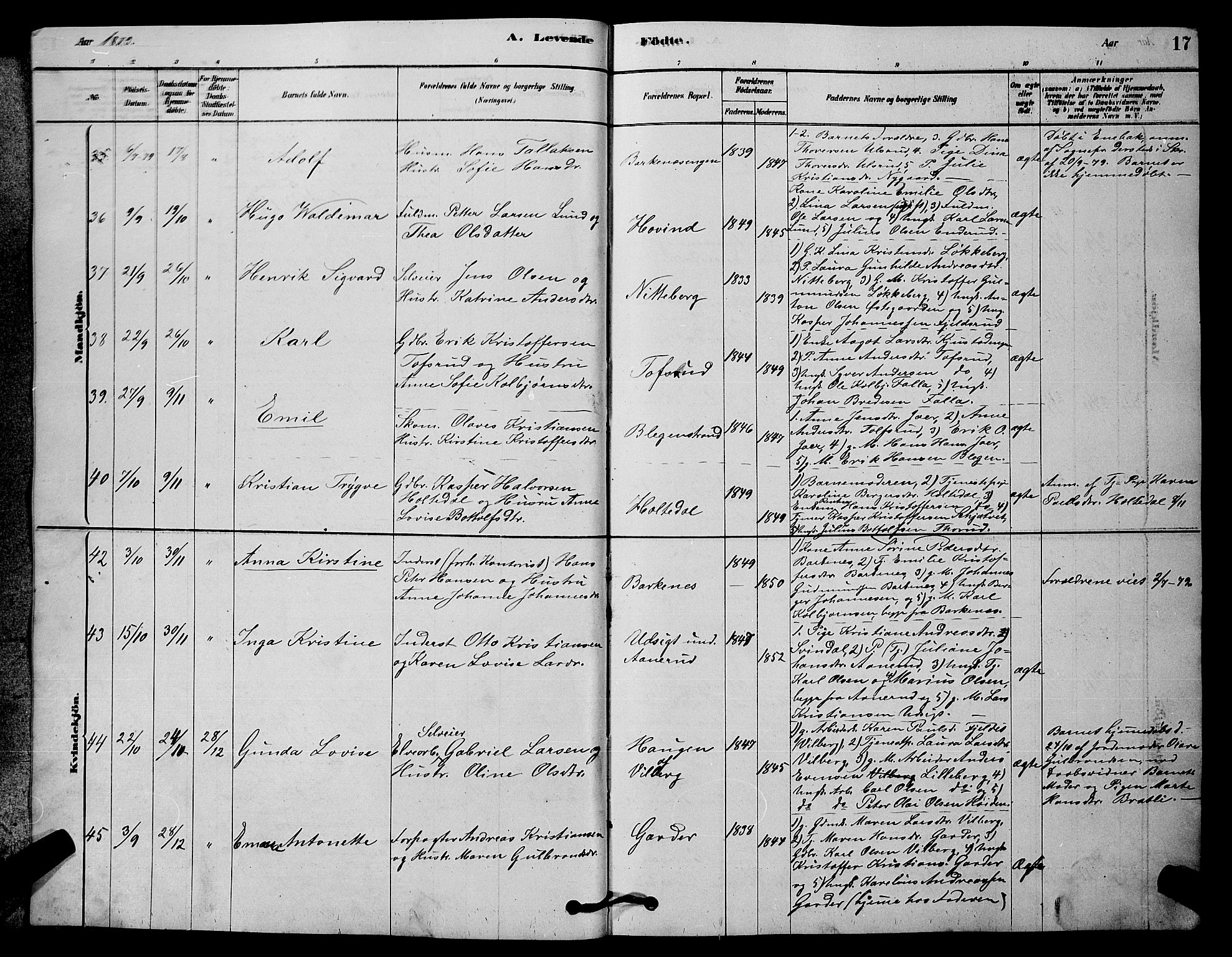 Fet prestekontor Kirkebøker, AV/SAO-A-10370a/G/Ga/L0006: Klokkerbok nr. I 6, 1878-1891, s. 17