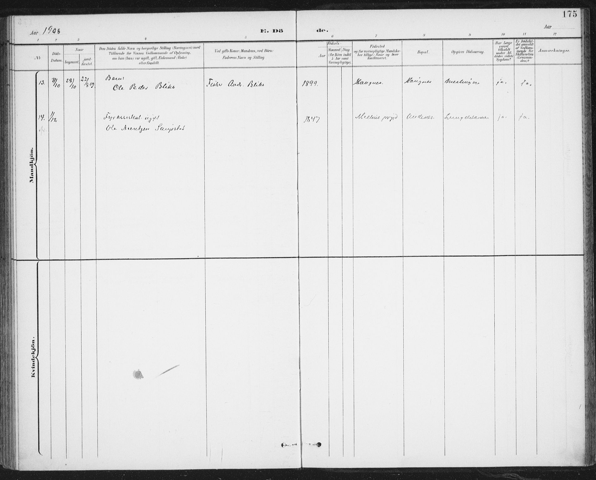 Ministerialprotokoller, klokkerbøker og fødselsregistre - Nordland, AV/SAT-A-1459/899/L1437: Ministerialbok nr. 899A05, 1897-1908, s. 175
