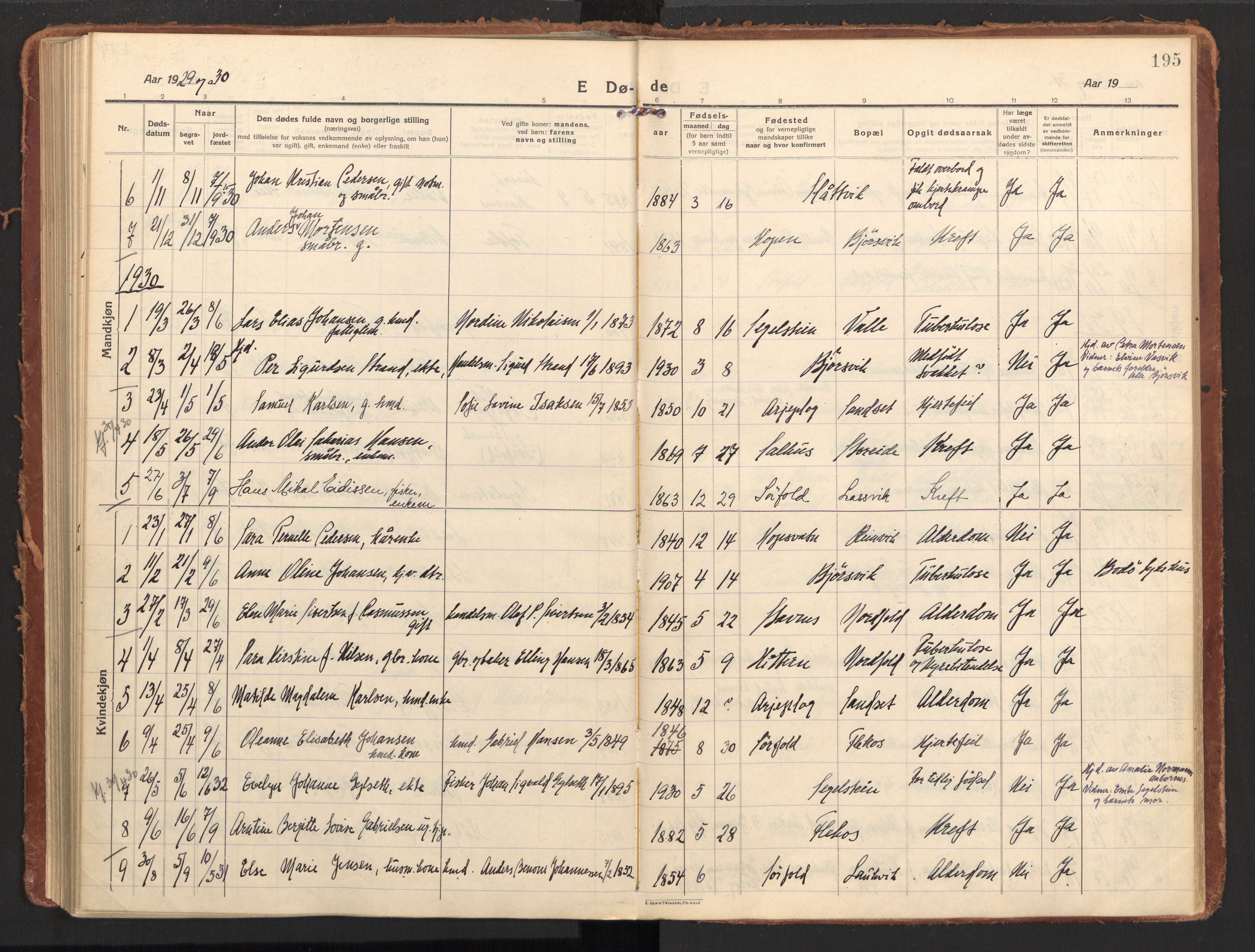 Ministerialprotokoller, klokkerbøker og fødselsregistre - Nordland, AV/SAT-A-1459/858/L0833: Ministerialbok nr. 858A03, 1916-1934, s. 195