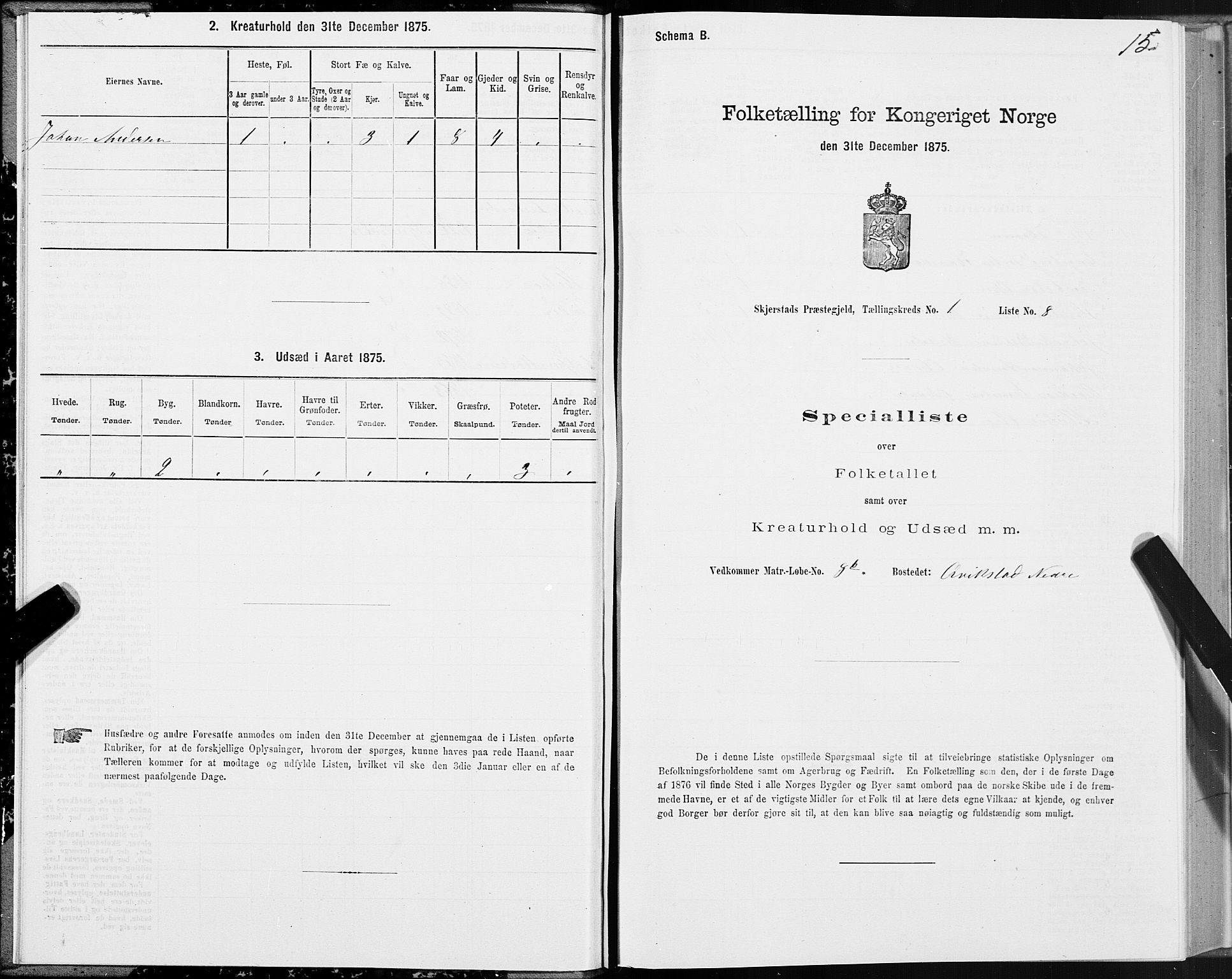 SAT, Folketelling 1875 for 1842P Skjerstad prestegjeld, 1875, s. 1015