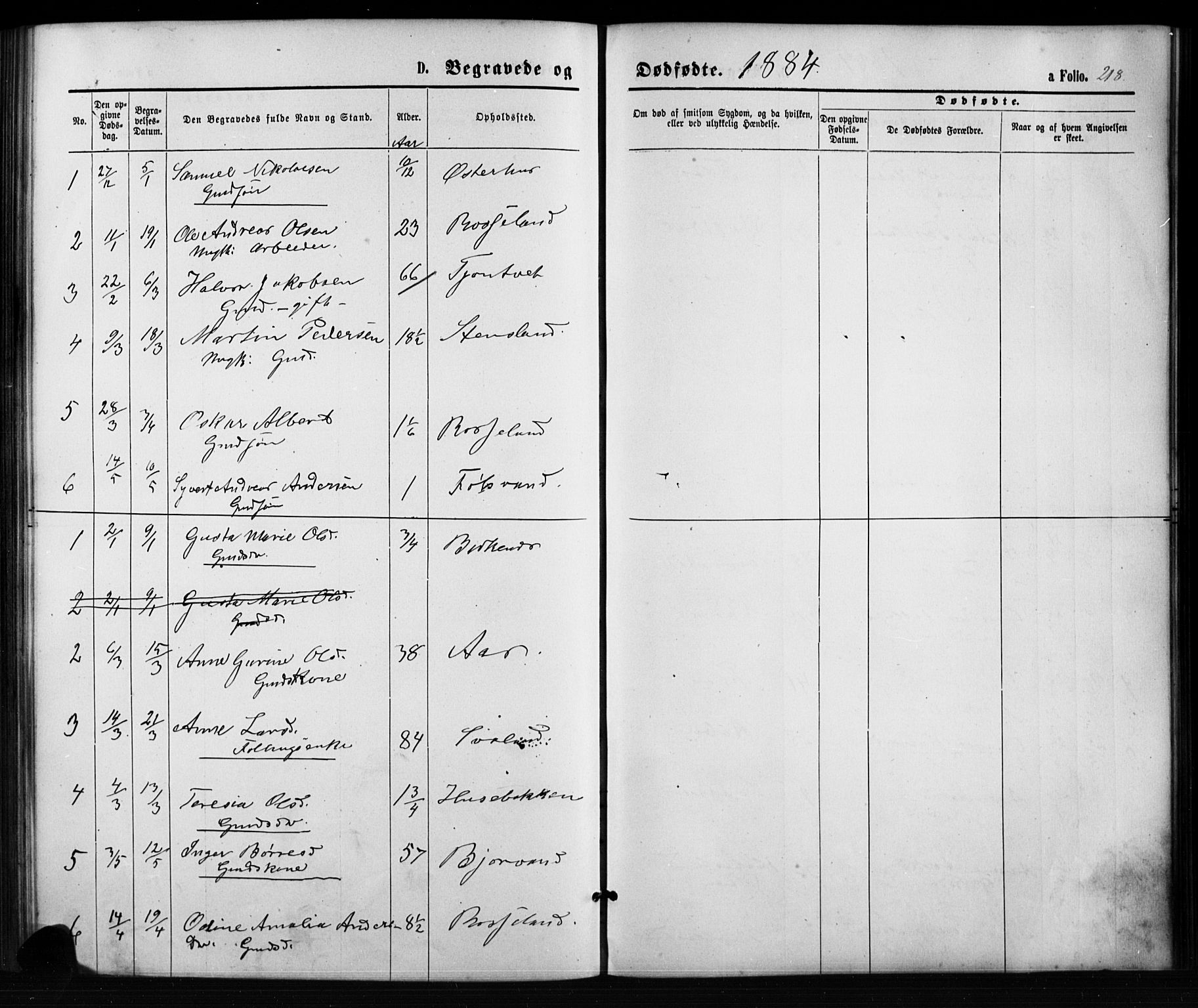 Birkenes sokneprestkontor, AV/SAK-1111-0004/F/Fb/L0003: Klokkerbok nr. B 3, 1876-1892, s. 218