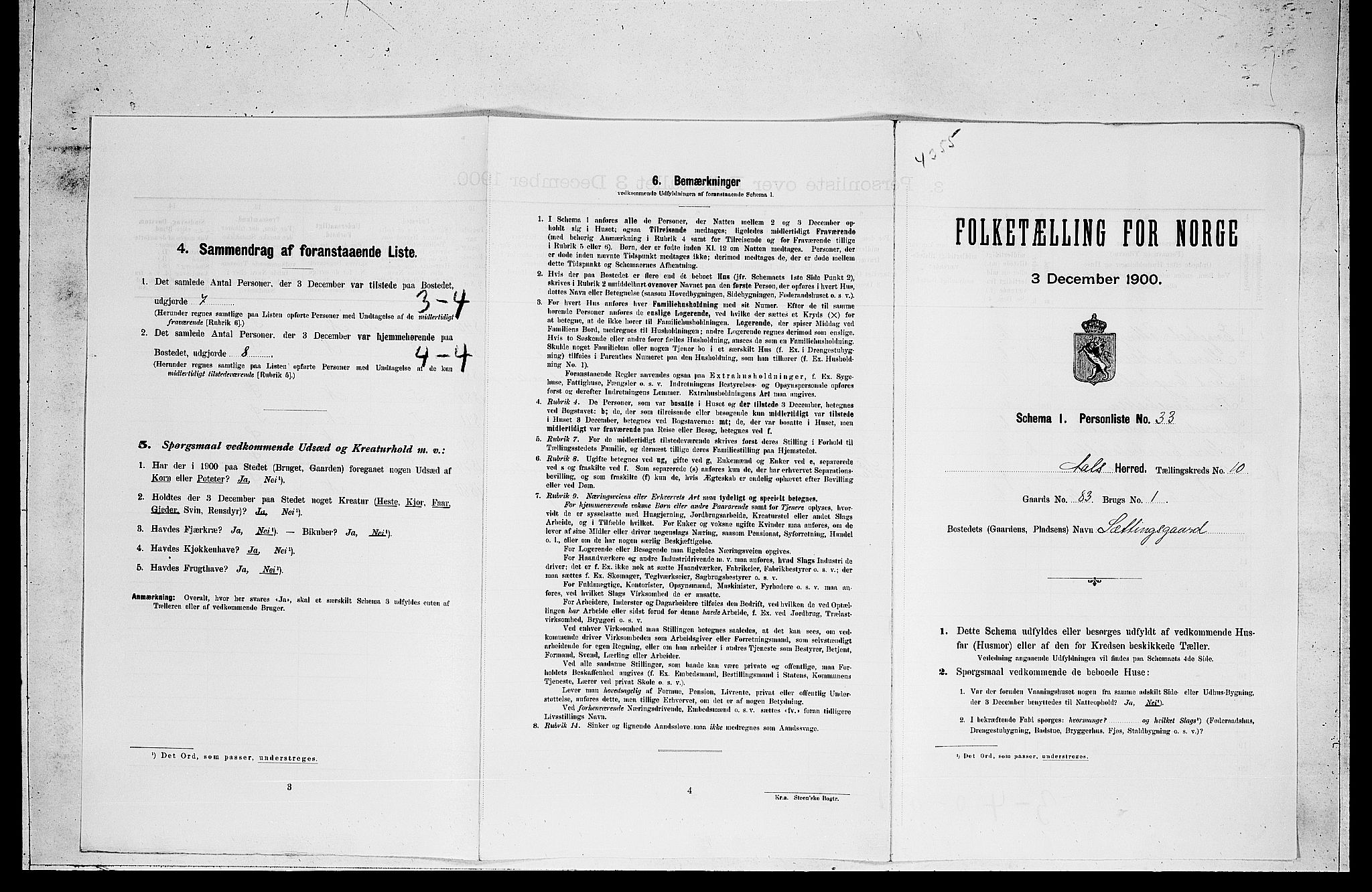 RA, Folketelling 1900 for 0619 Ål herred, 1900, s. 863