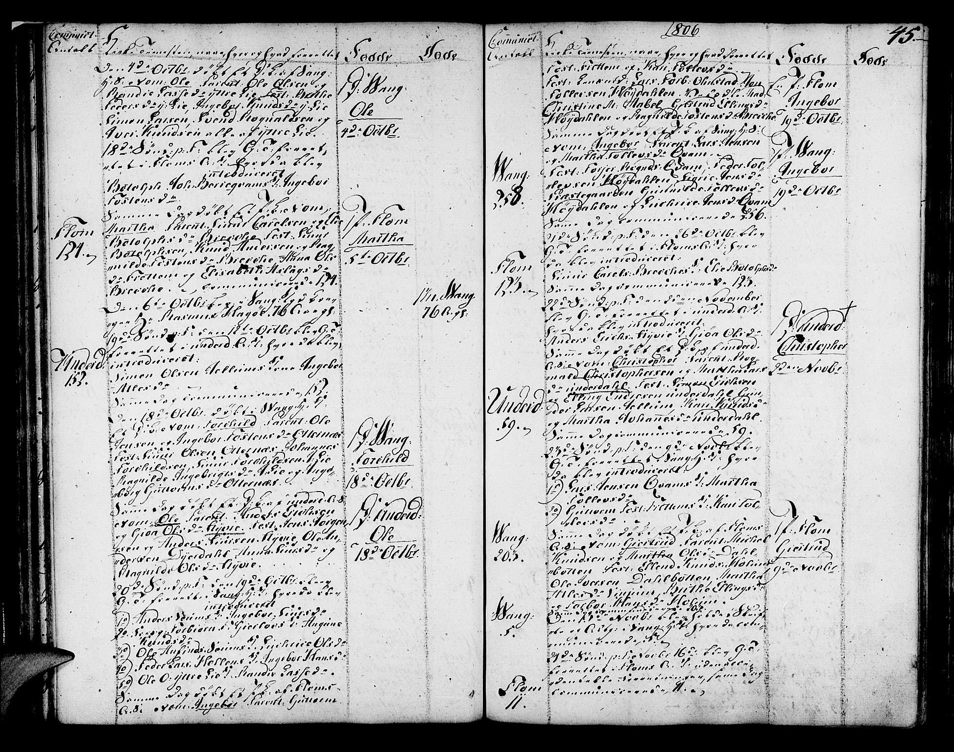 Aurland sokneprestembete, AV/SAB-A-99937/H/Ha/Haa/L0005: Ministerialbok nr. A 5, 1801-1821, s. 45