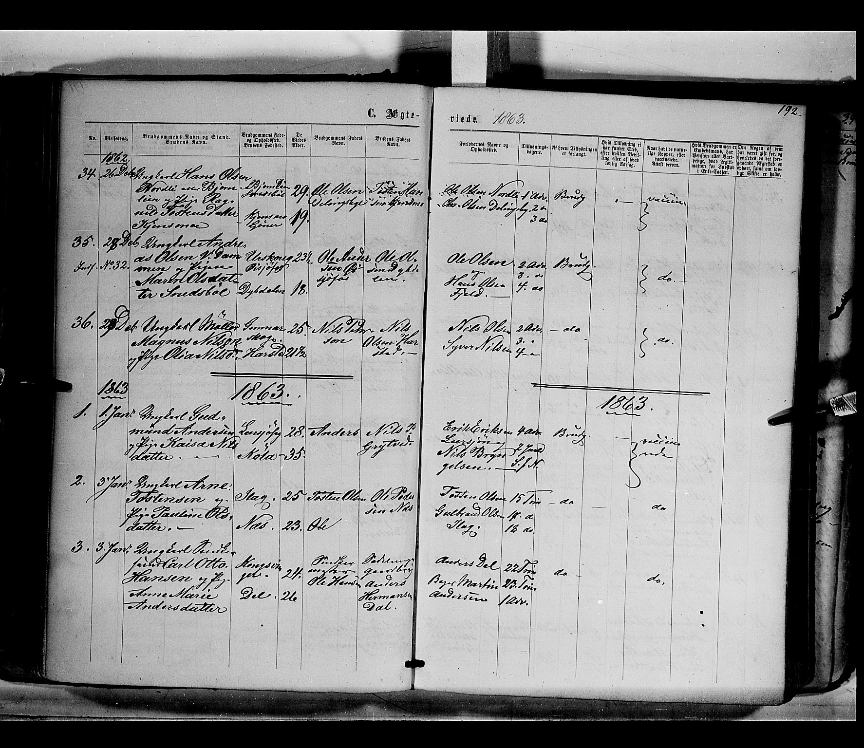 Eidskog prestekontor, AV/SAH-PREST-026/H/Ha/Haa/L0001: Ministerialbok nr. 1, 1860-1867, s. 192