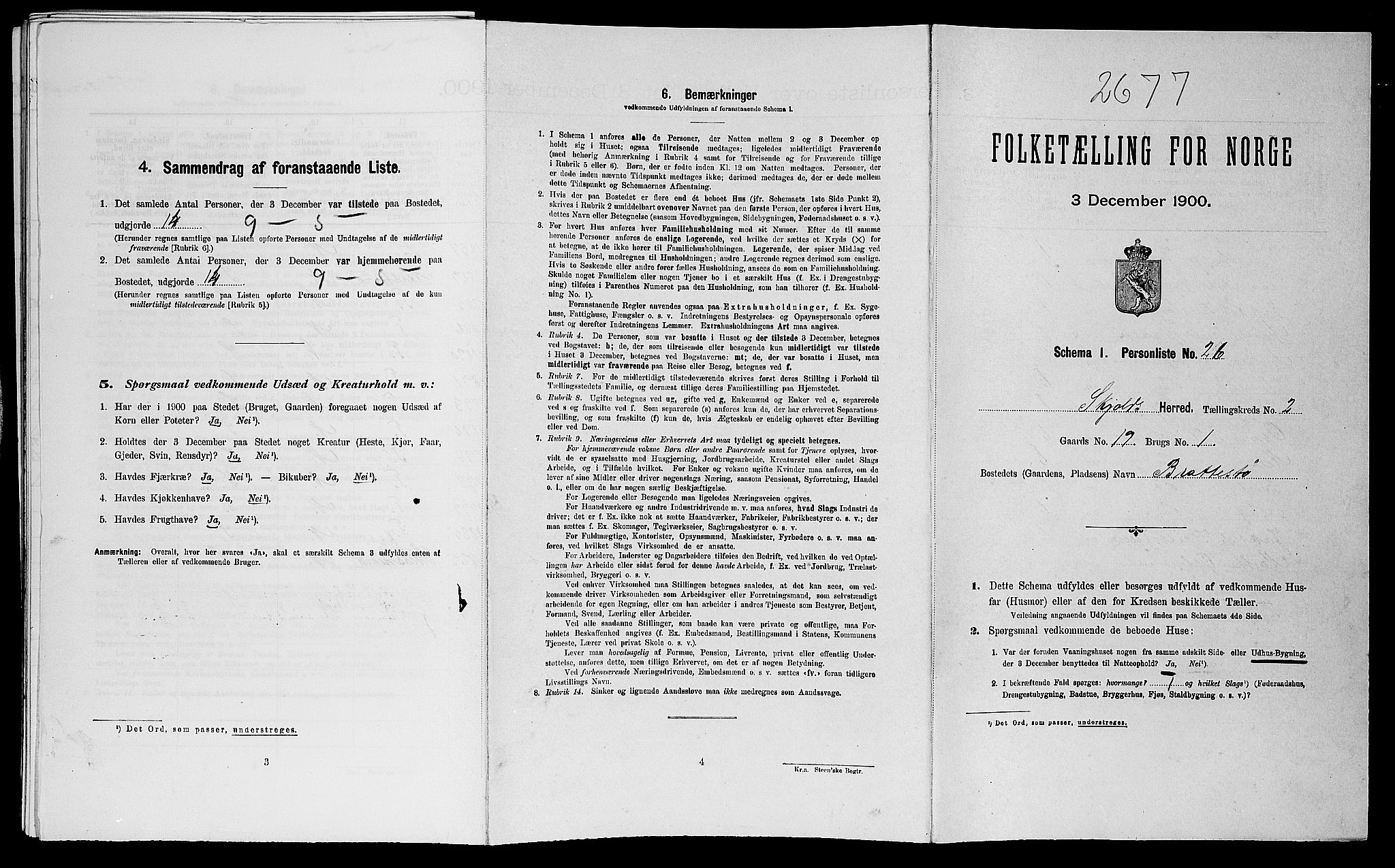 SAST, Folketelling 1900 for 1154 Skjold herred, 1900, s. 245