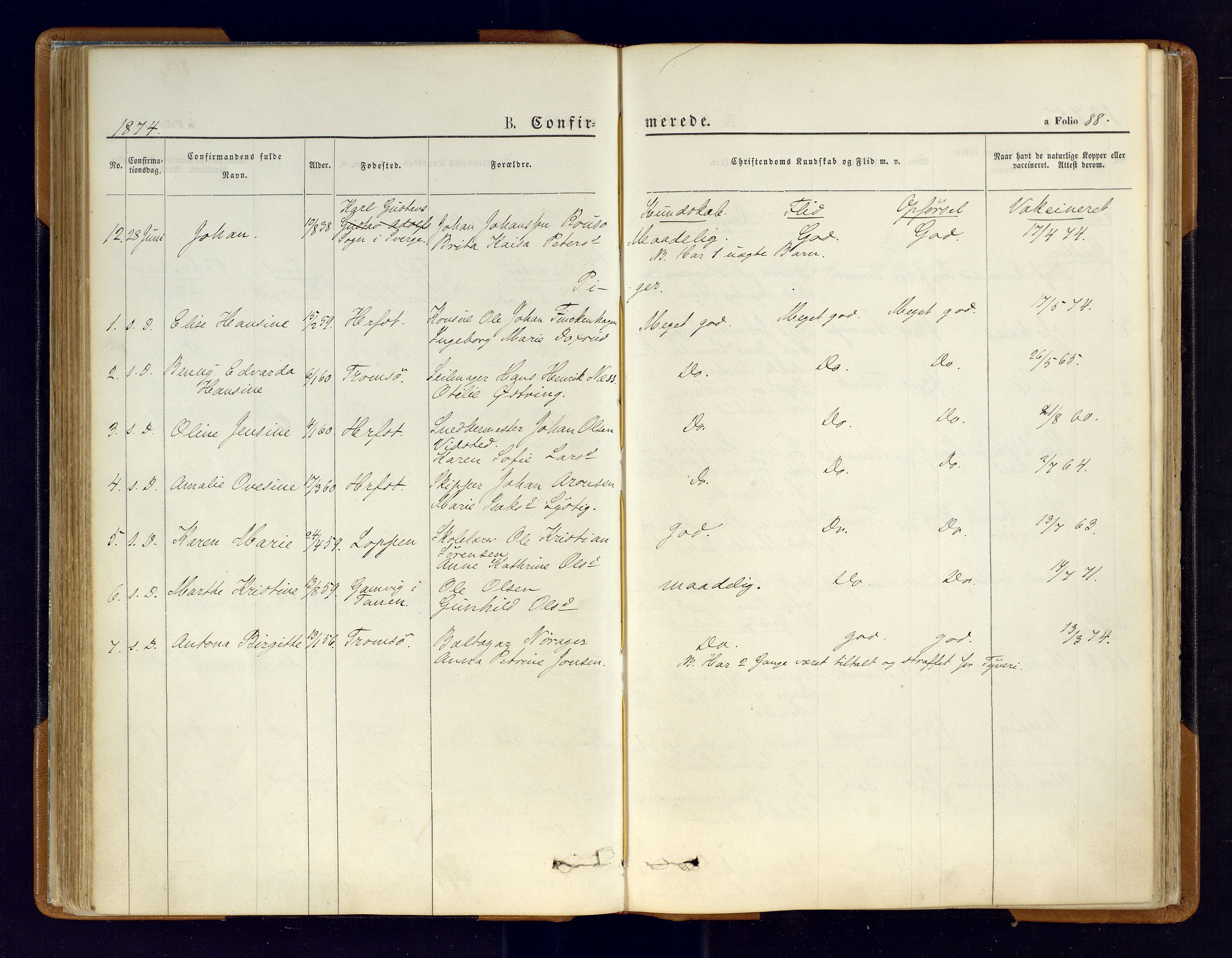 Hammerfest sokneprestkontor, AV/SATØ-S-1347/H/Ha/L0006.kirke: Ministerialbok nr. 6, 1869-1877, s. 88