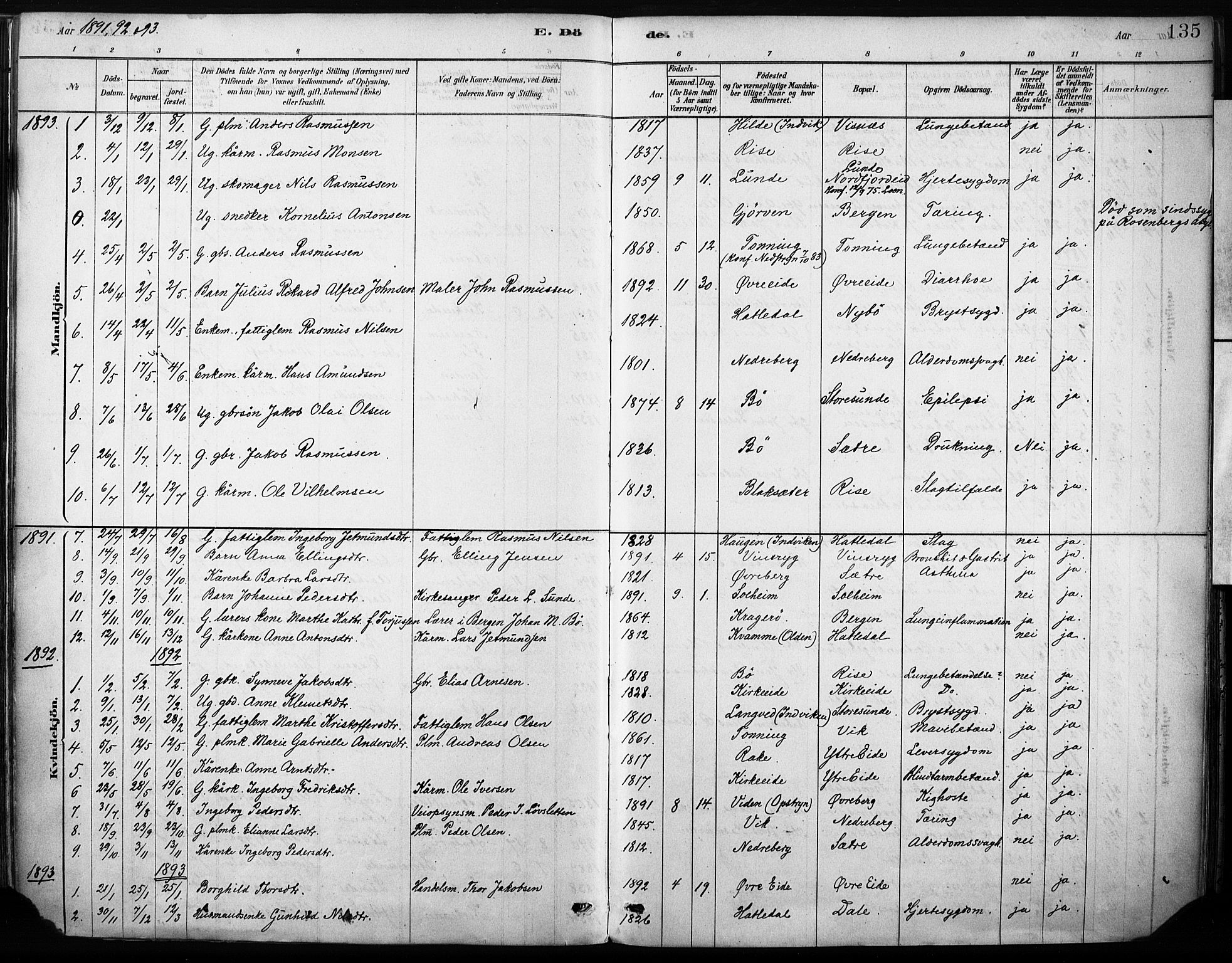 Stryn Sokneprestembete, AV/SAB-A-82501: Ministerialbok nr. B 1, 1878-1907, s. 135