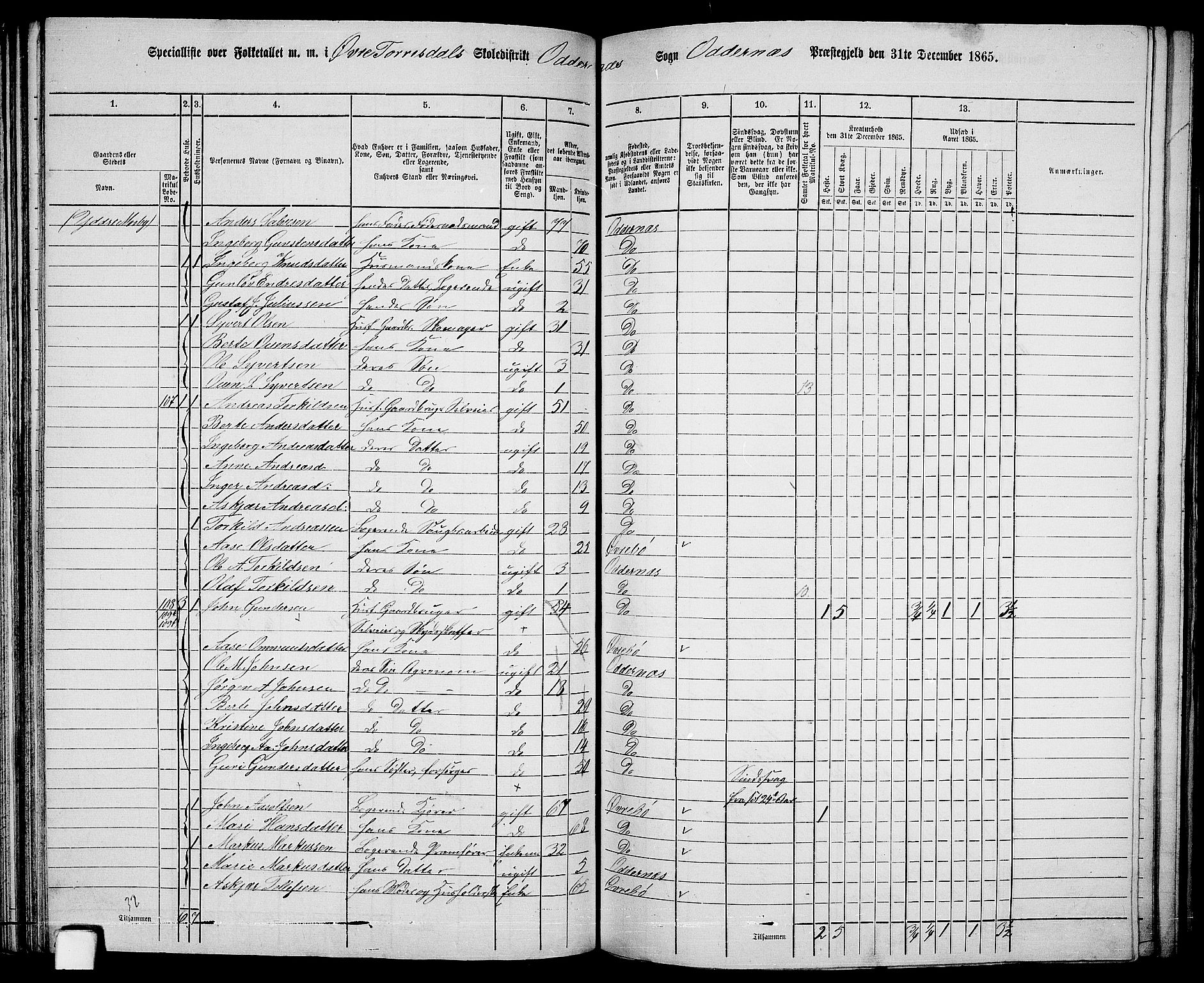 RA, Folketelling 1865 for 1012P Oddernes prestegjeld, 1865, s. 74
