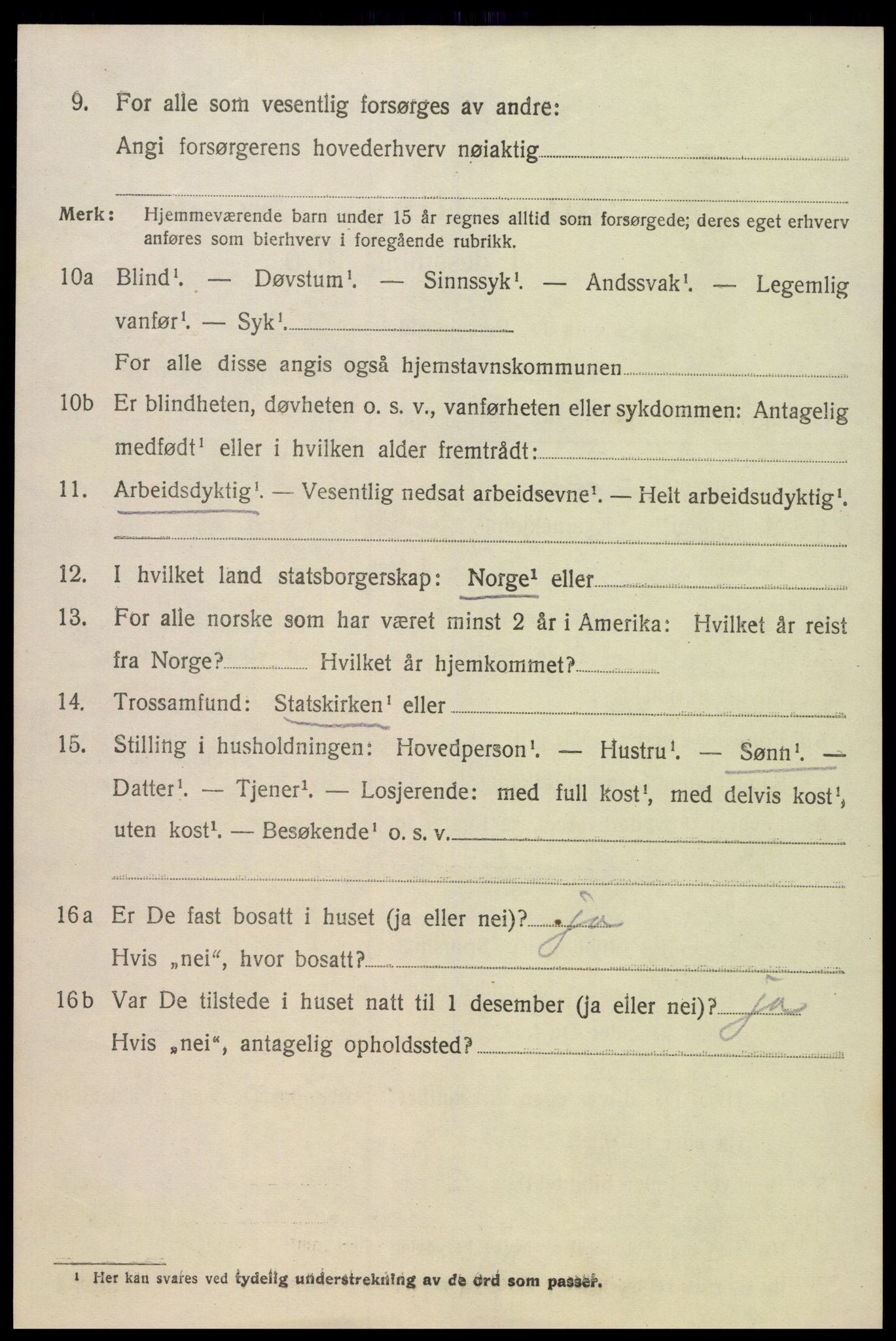 SAK, Folketelling 1920 for 0936 Hornnes herred, 1920, s. 3270