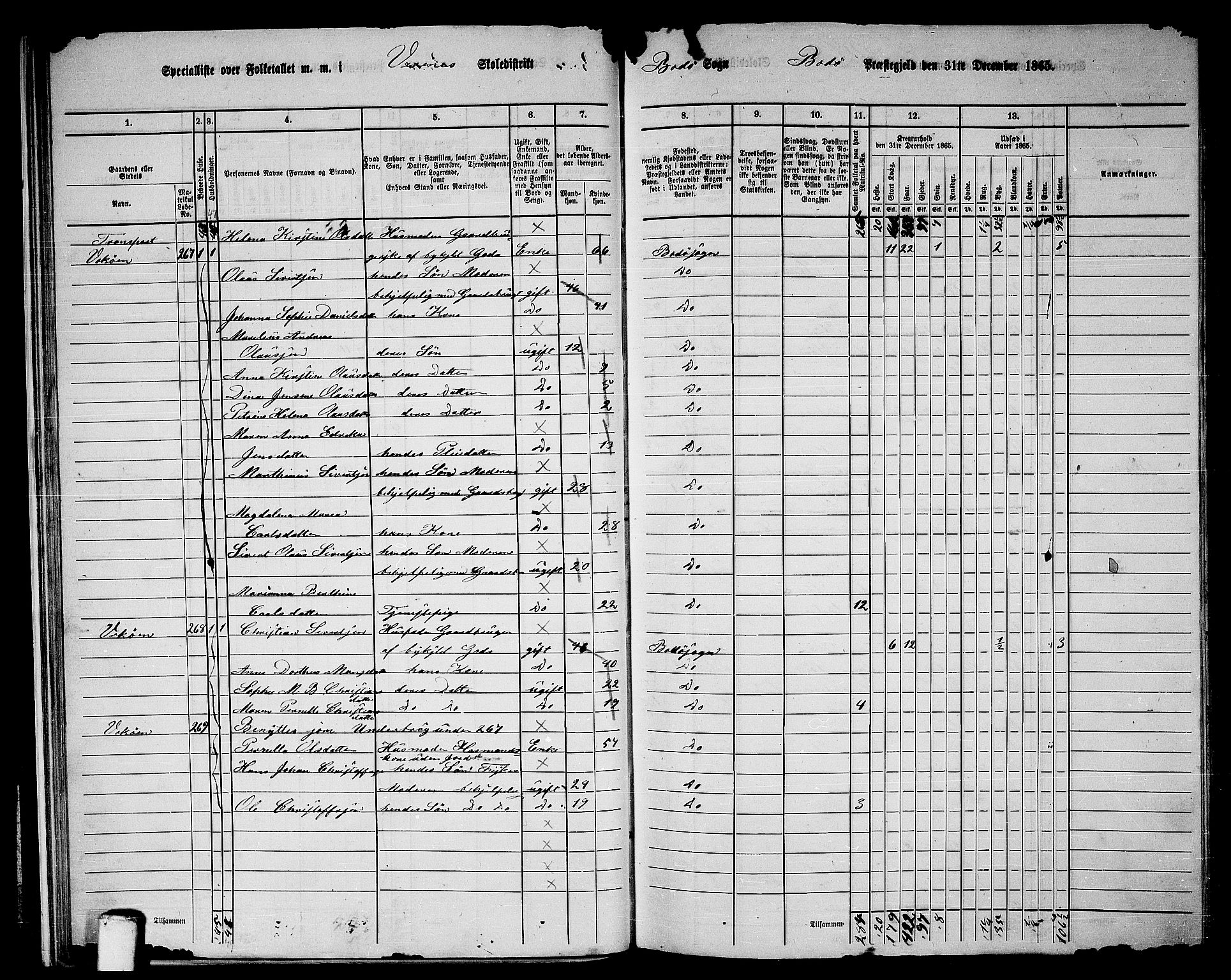 RA, Folketelling 1865 for 1843L Bodø prestegjeld, Bodø landsokn, 1865, s. 27