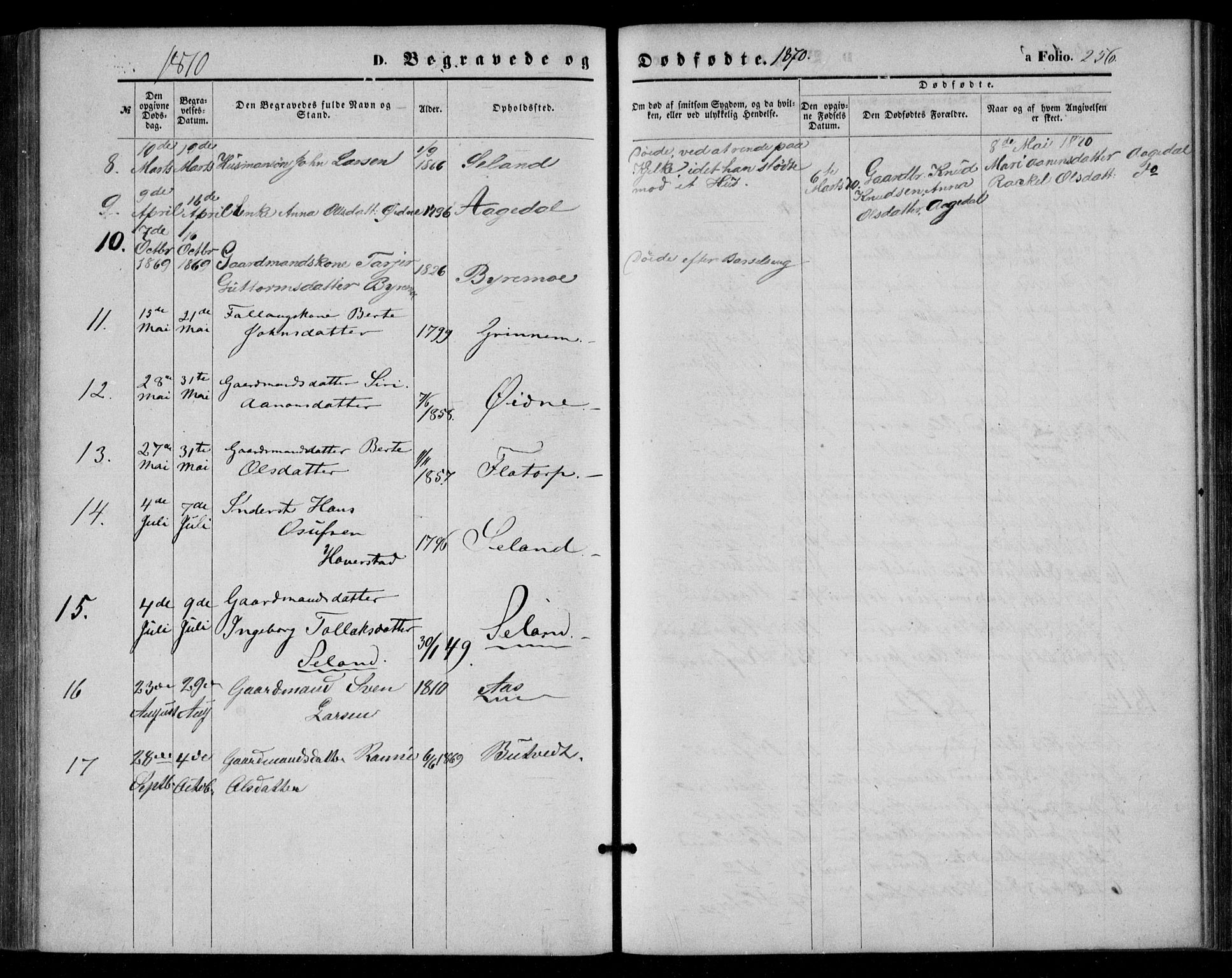 Bjelland sokneprestkontor, SAK/1111-0005/F/Fa/Fac/L0002: Ministerialbok nr. A 2, 1866-1887, s. 256