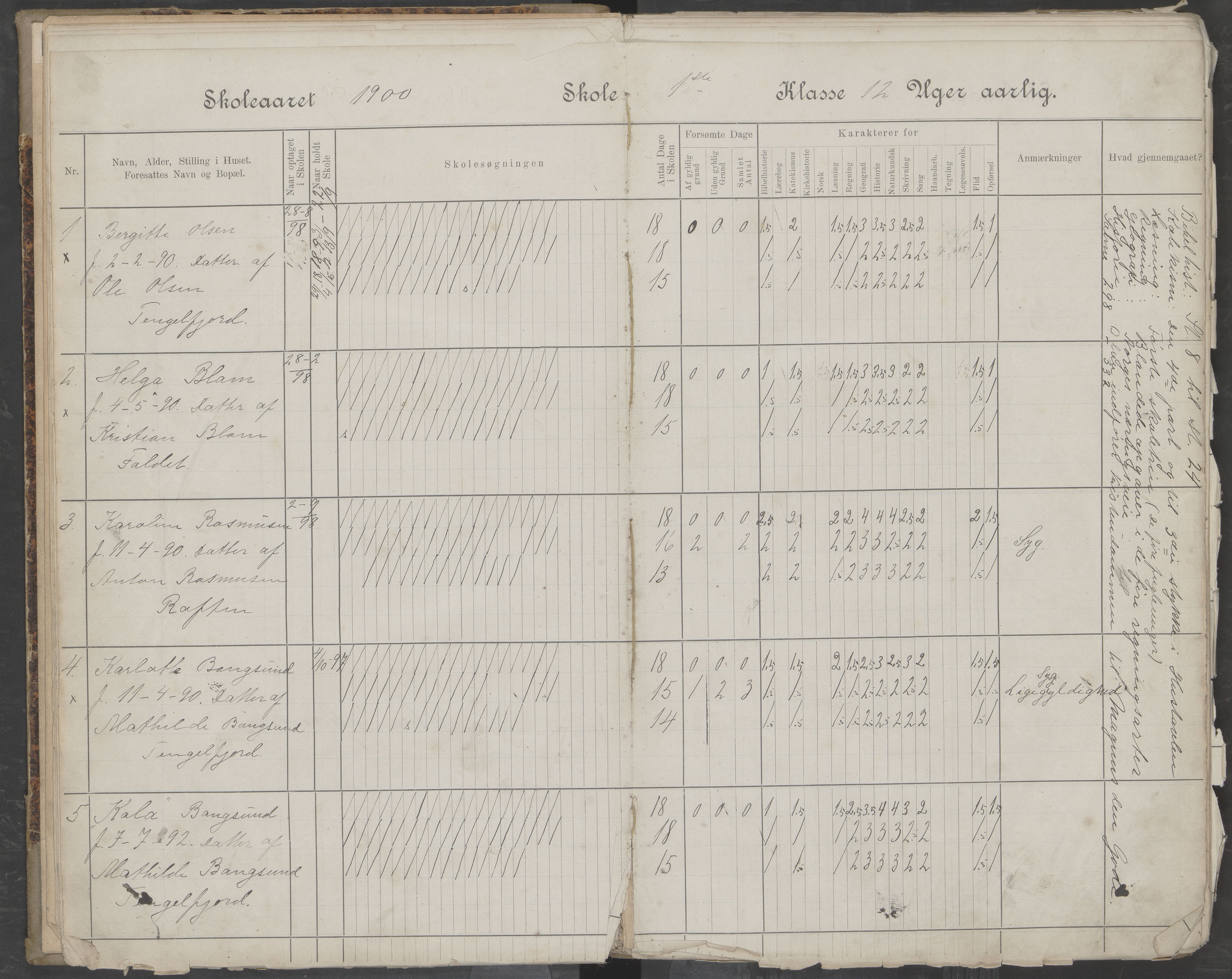 Hadsel kommune. Tengelfjord skolekrets, AIN/K-18660.510.04/G/L0001: Skoleprotokoll for Tengelfjord skole, 1899-1908