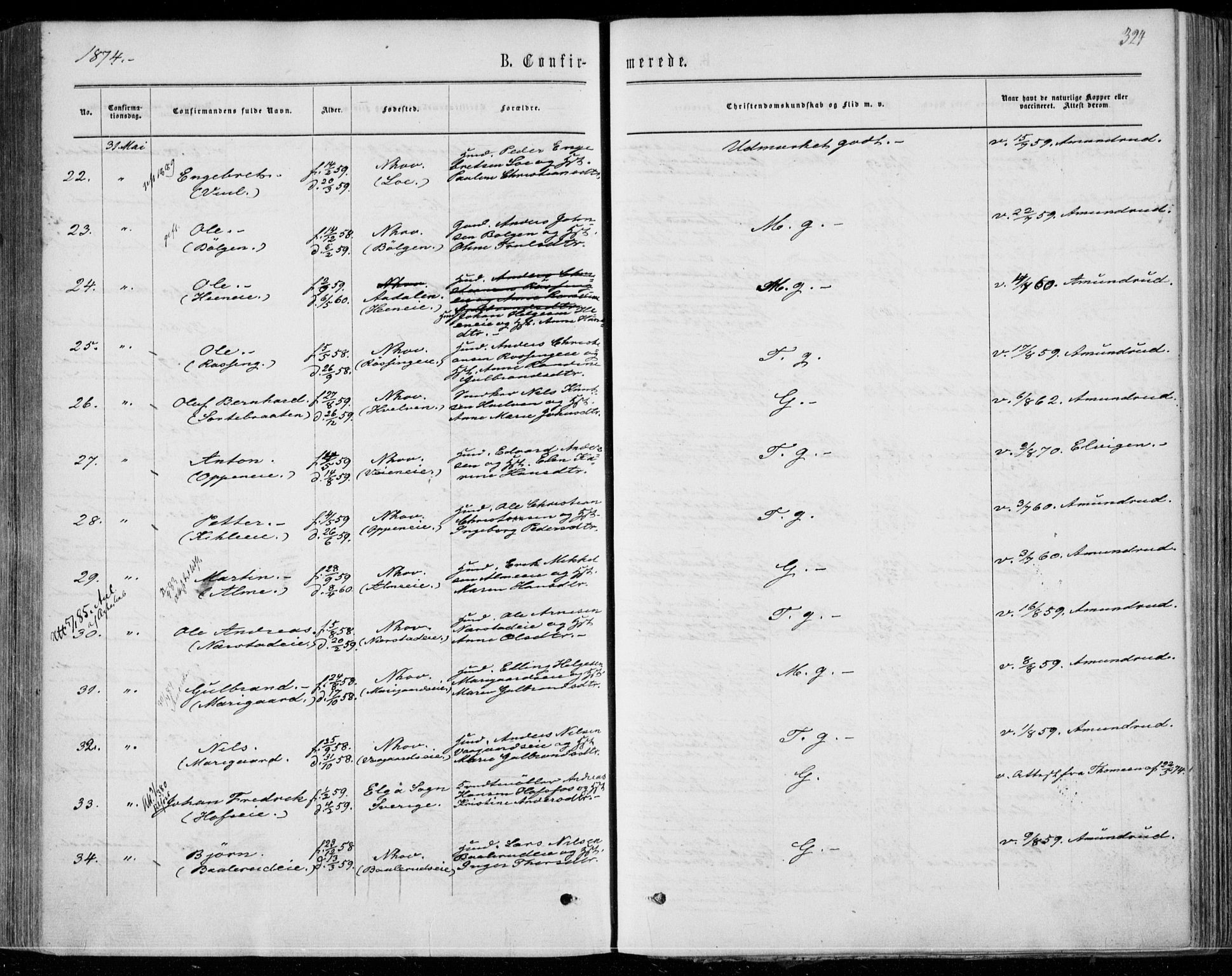 Norderhov kirkebøker, AV/SAKO-A-237/F/Fa/L0013: Ministerialbok nr. 13, 1866-1874, s. 324
