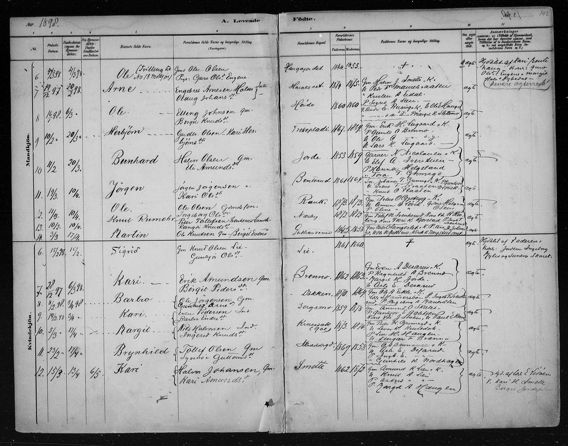 Nes kirkebøker, AV/SAKO-A-236/F/Fa/L0011: Ministerialbok nr. 11, 1881-1912, s. 102
