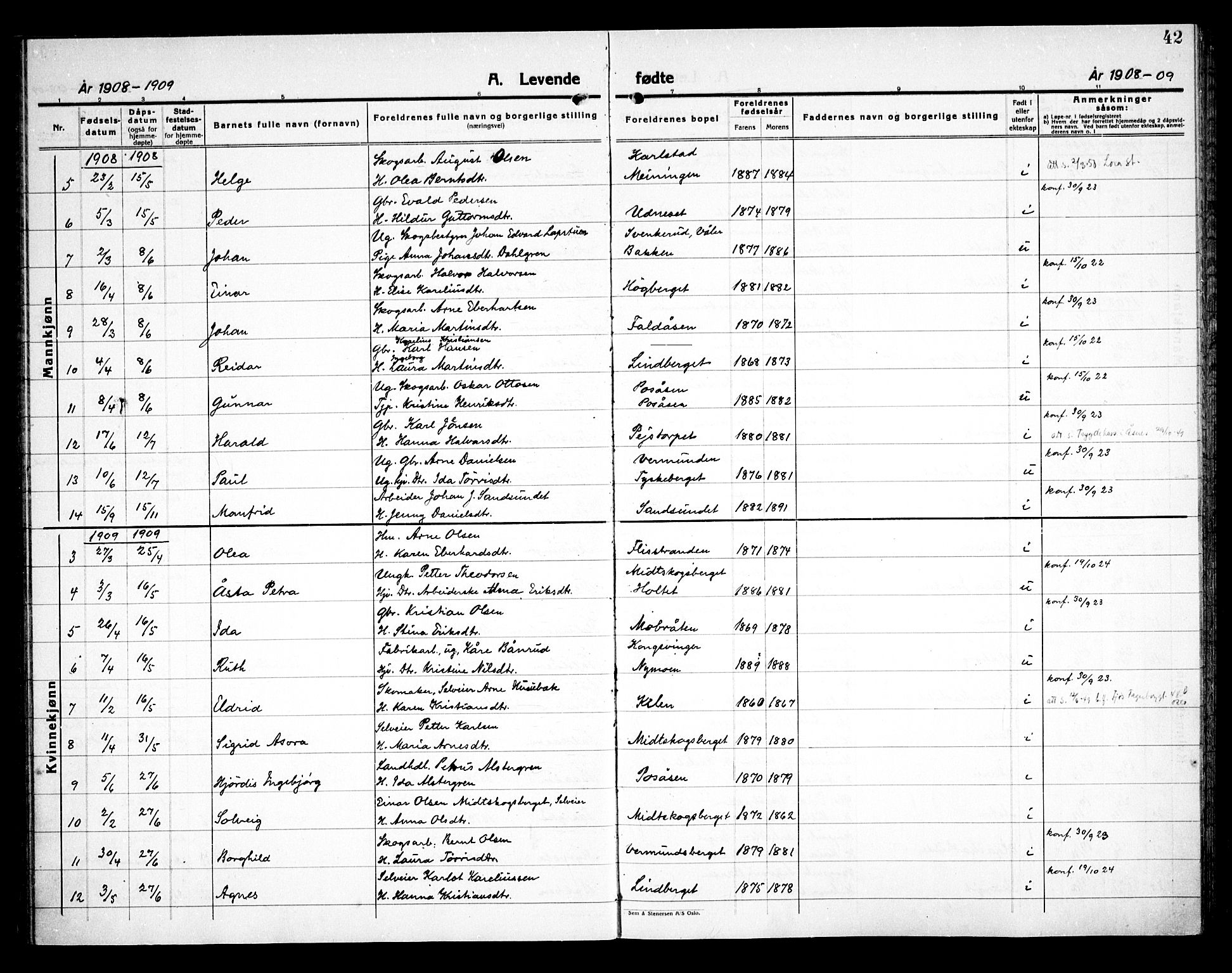 Åsnes prestekontor, AV/SAH-PREST-042/H/Ha/Haa/L0000E: Ministerialbok nr. 0C, 1890-1929, s. 42