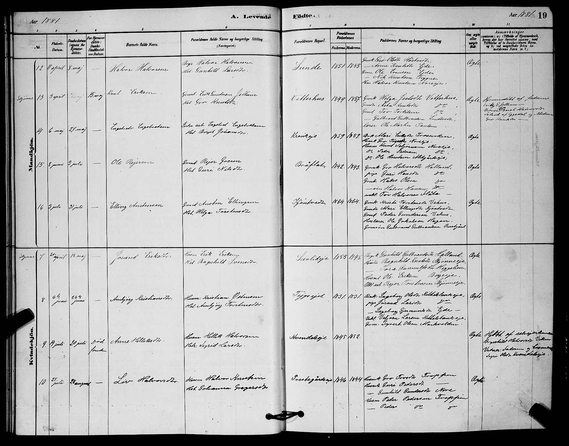 Nore kirkebøker, AV/SAKO-A-238/G/Ga/L0002: Klokkerbok nr. I 2, 1878-1885, s. 19