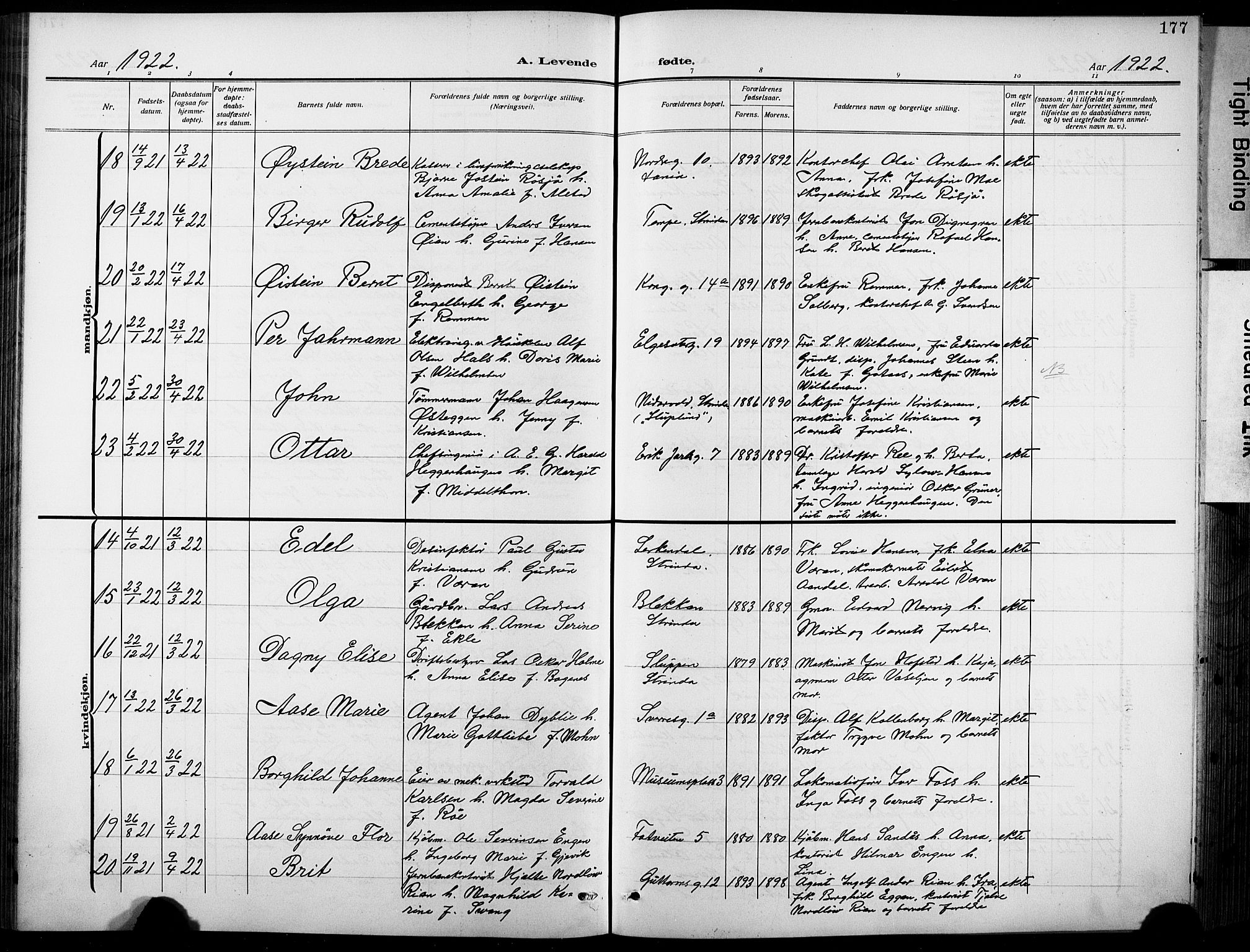 Ministerialprotokoller, klokkerbøker og fødselsregistre - Sør-Trøndelag, AV/SAT-A-1456/601/L0096: Klokkerbok nr. 601C14, 1911-1931, s. 177