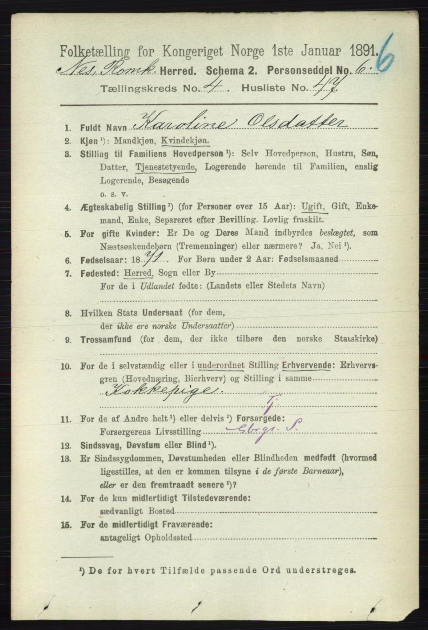 RA, Folketelling 1891 for 0236 Nes herred, 1891, s. 2529