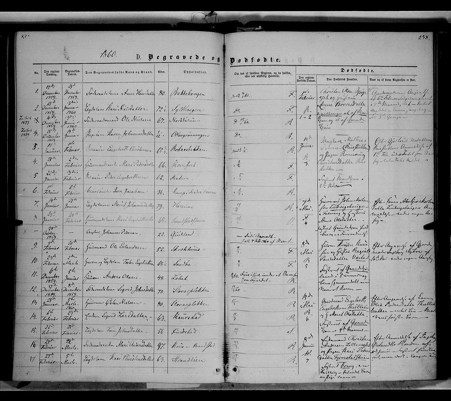 Ringebu prestekontor, AV/SAH-PREST-082/H/Ha/Haa/L0007: Ministerialbok nr. 7, 1860-1877, s. 238
