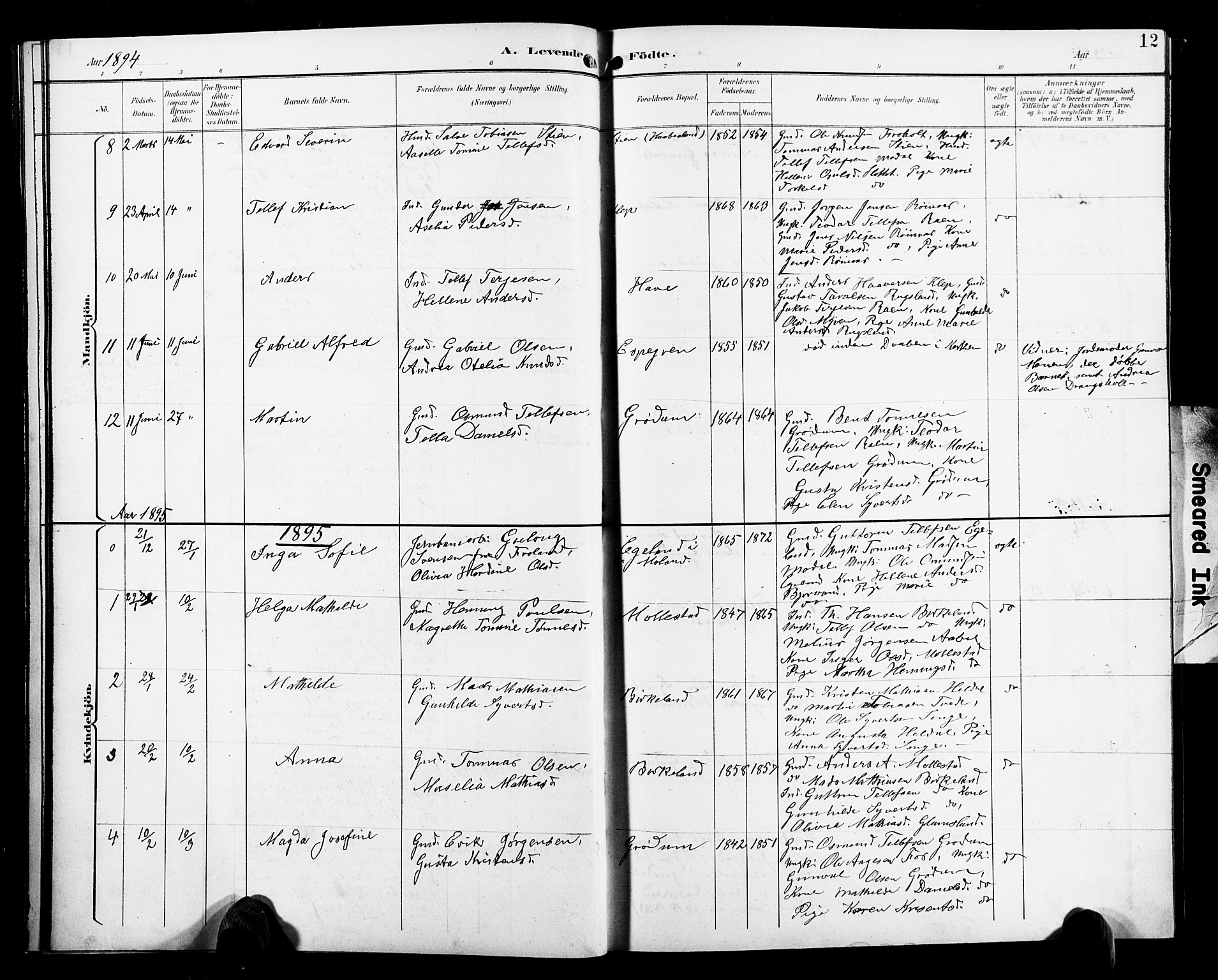 Birkenes sokneprestkontor, AV/SAK-1111-0004/F/Fb/L0004: Klokkerbok nr. B 4, 1893-1930, s. 12