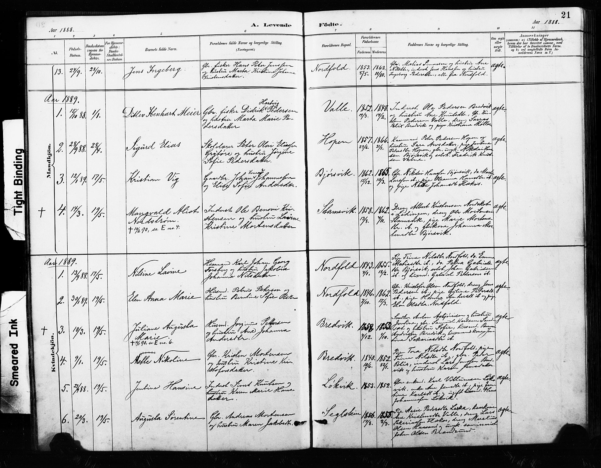 Ministerialprotokoller, klokkerbøker og fødselsregistre - Nordland, AV/SAT-A-1459/858/L0834: Klokkerbok nr. 858C01, 1884-1904, s. 21