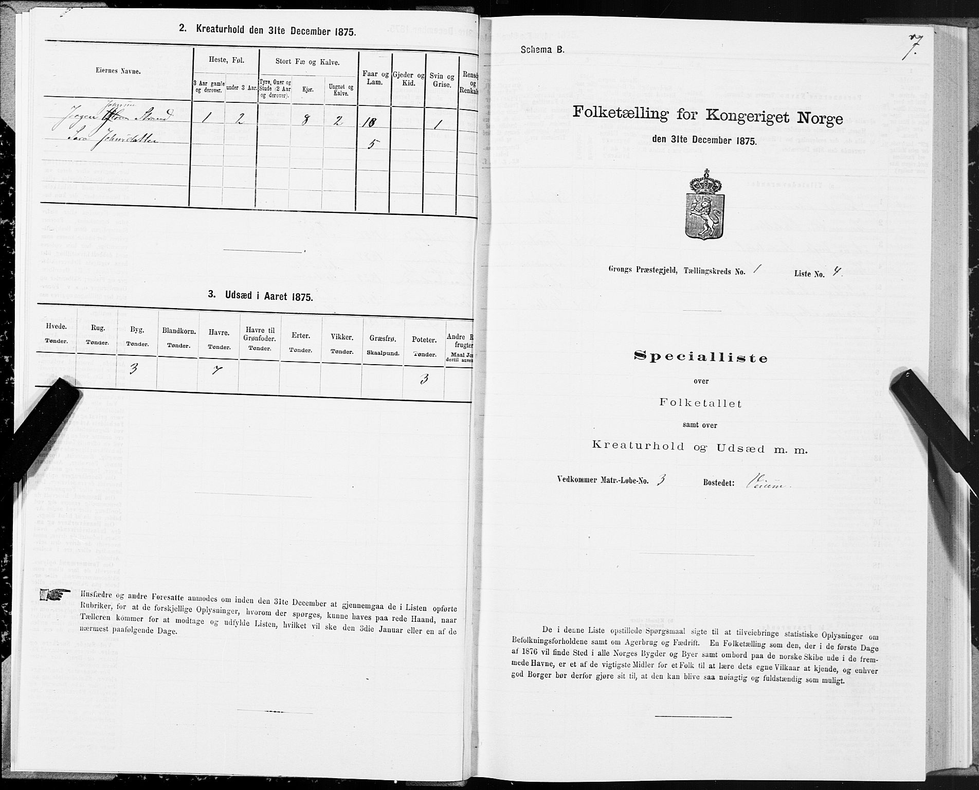 SAT, Folketelling 1875 for 1742P Grong prestegjeld, 1875, s. 1007