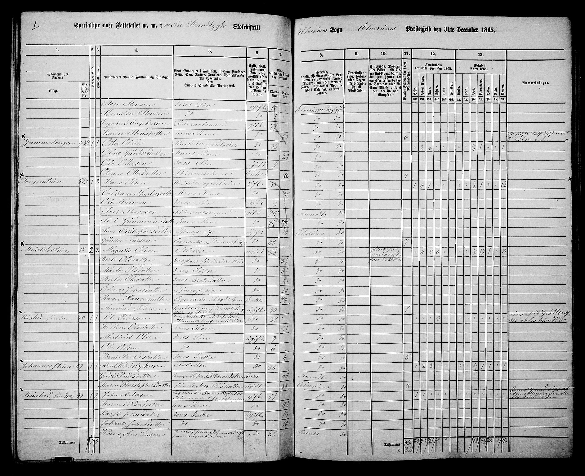 RA, Folketelling 1865 for 0427P Elverum prestegjeld, 1865, s. 132