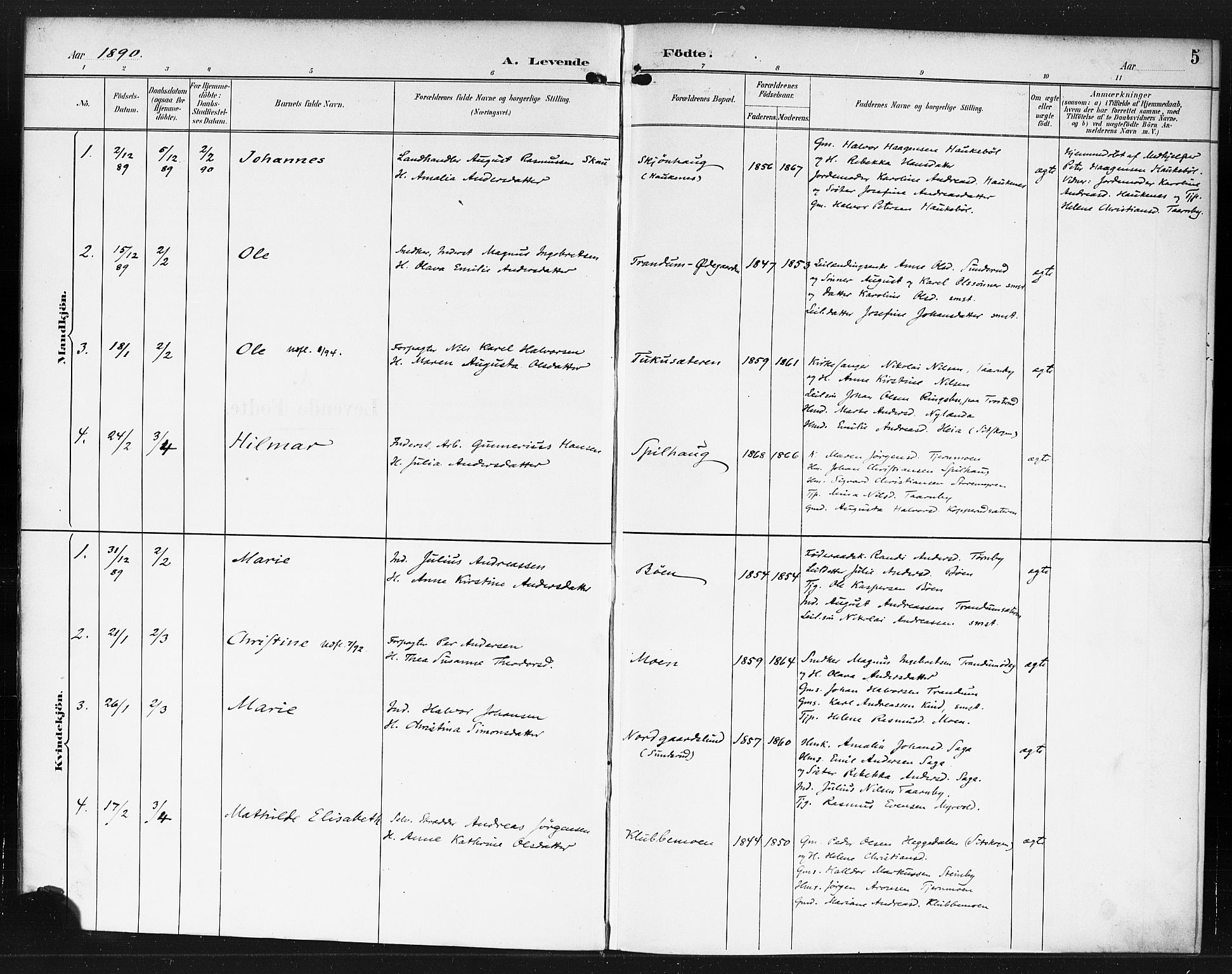 Rødenes prestekontor Kirkebøker, SAO/A-2005/F/Fb/L0002: Ministerialbok nr. II 2, 1890-1900, s. 5