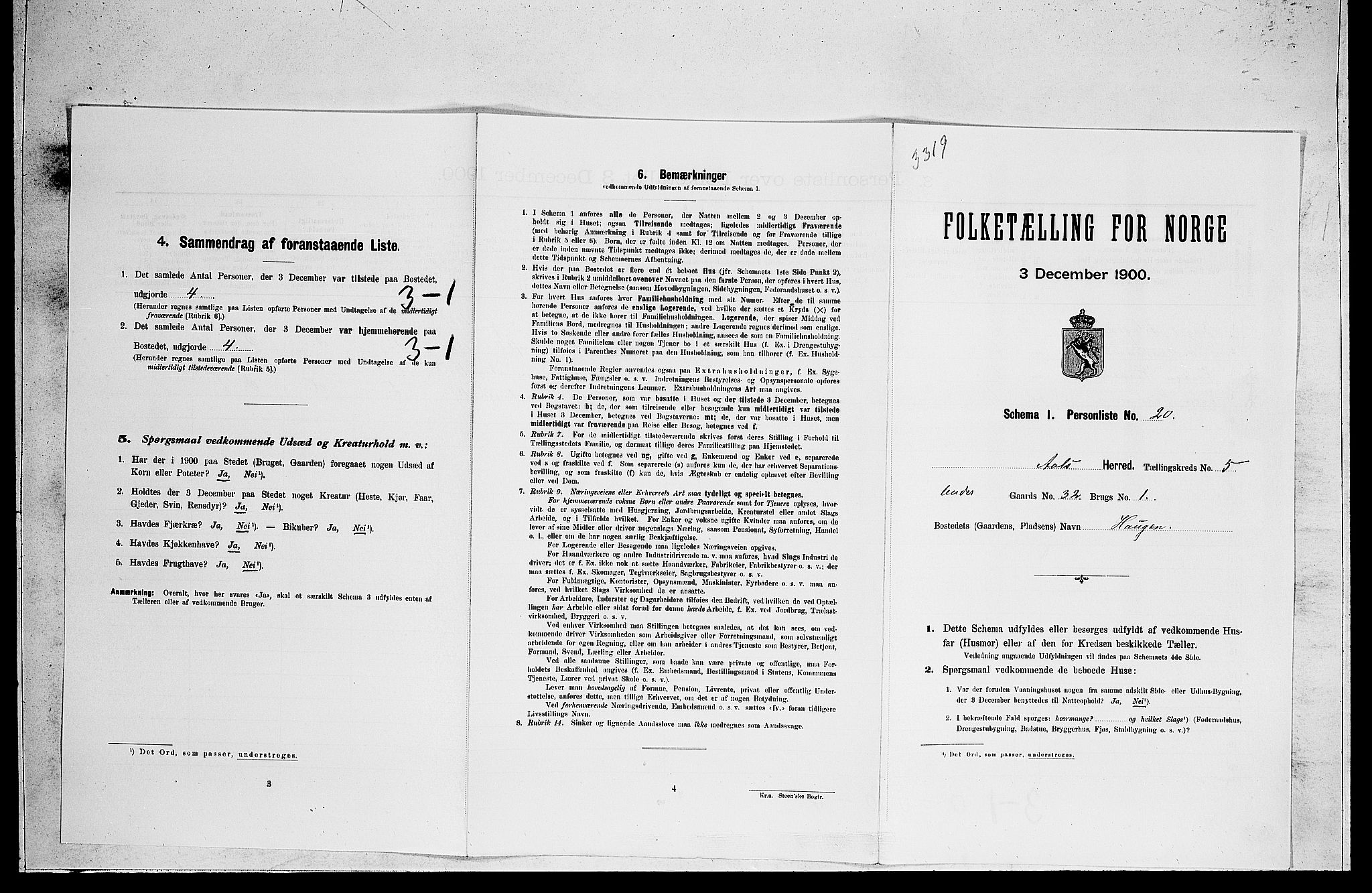 RA, Folketelling 1900 for 0619 Ål herred, 1900, s. 501