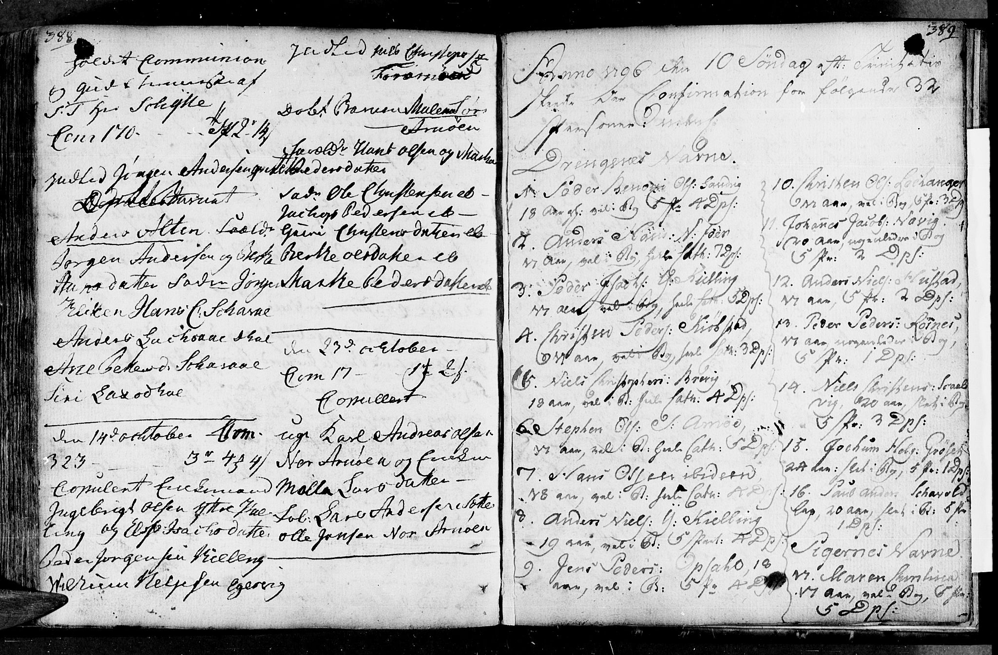Ministerialprotokoller, klokkerbøker og fødselsregistre - Nordland, AV/SAT-A-1459/805/L0094: Ministerialbok nr. 805A01, 1773-1804, s. 388-389