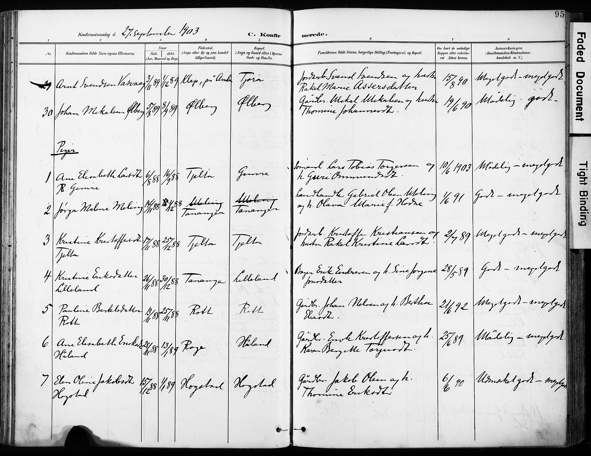 Håland sokneprestkontor, AV/SAST-A-101802/001/30BA/L0013: Ministerialbok nr. A 12, 1901-1913, s. 95