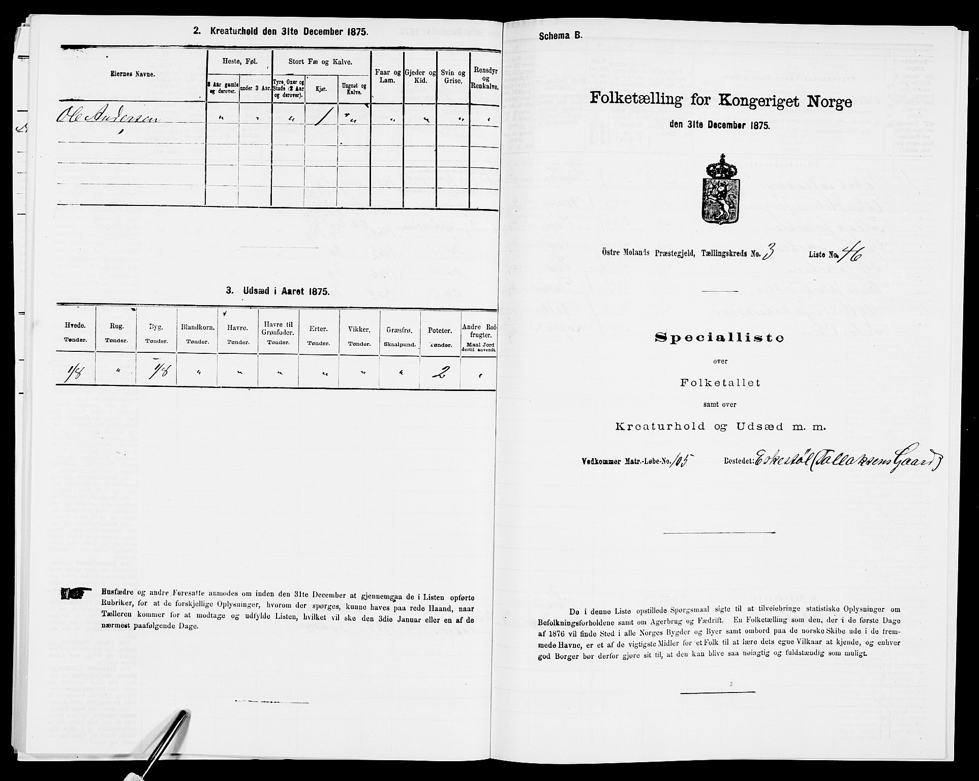 SAK, Folketelling 1875 for 0918P Austre Moland prestegjeld, 1875, s. 3134