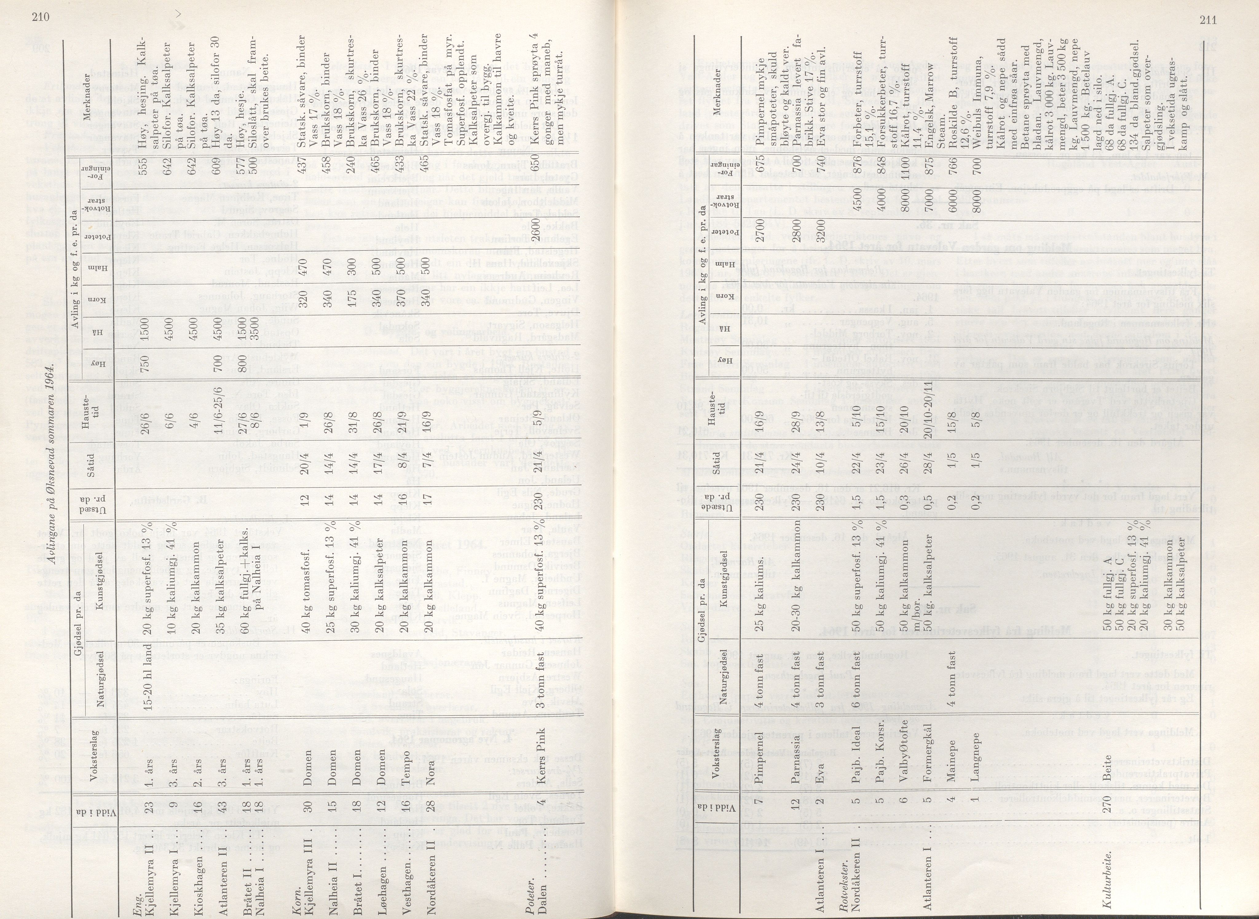 Rogaland fylkeskommune - Fylkesrådmannen , IKAR/A-900/A/Aa/Aaa/L0085: Møtebok , 1965, s. 210-211