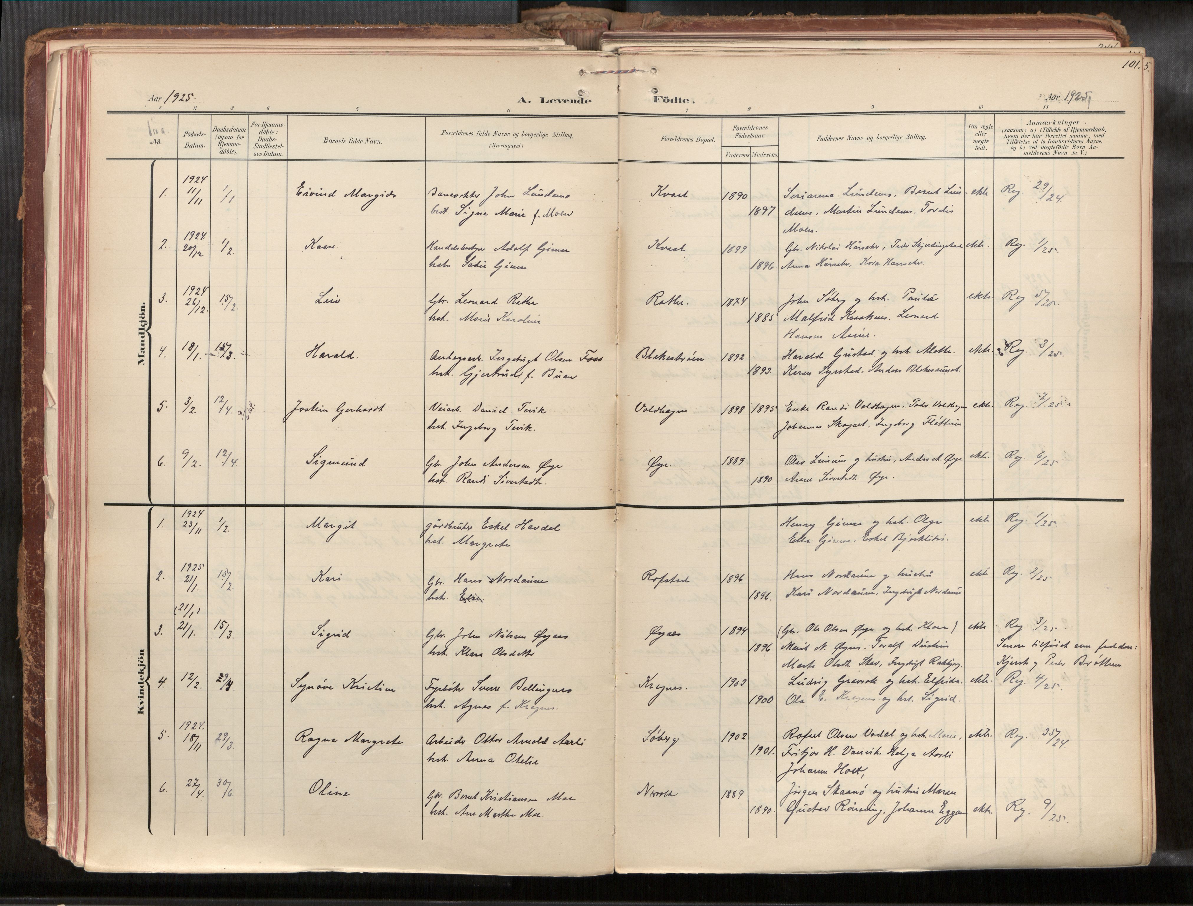 Ministerialprotokoller, klokkerbøker og fødselsregistre - Sør-Trøndelag, SAT/A-1456/691/L1085b: Ministerialbok nr. 691A18, 1908-1930, s. 101