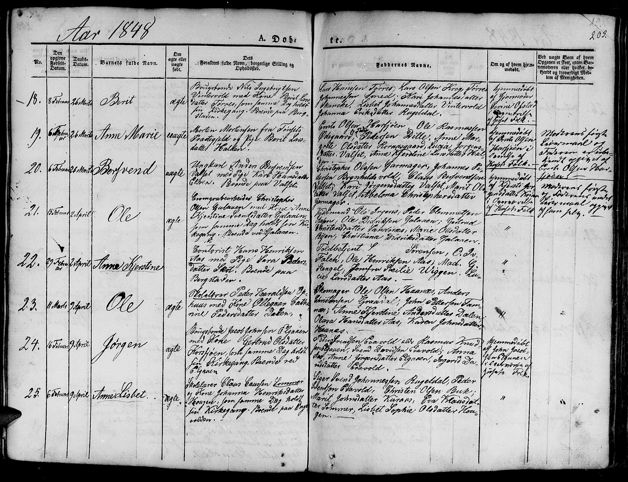 Ministerialprotokoller, klokkerbøker og fødselsregistre - Sør-Trøndelag, SAT/A-1456/681/L0938: Klokkerbok nr. 681C02, 1829-1879, s. 205