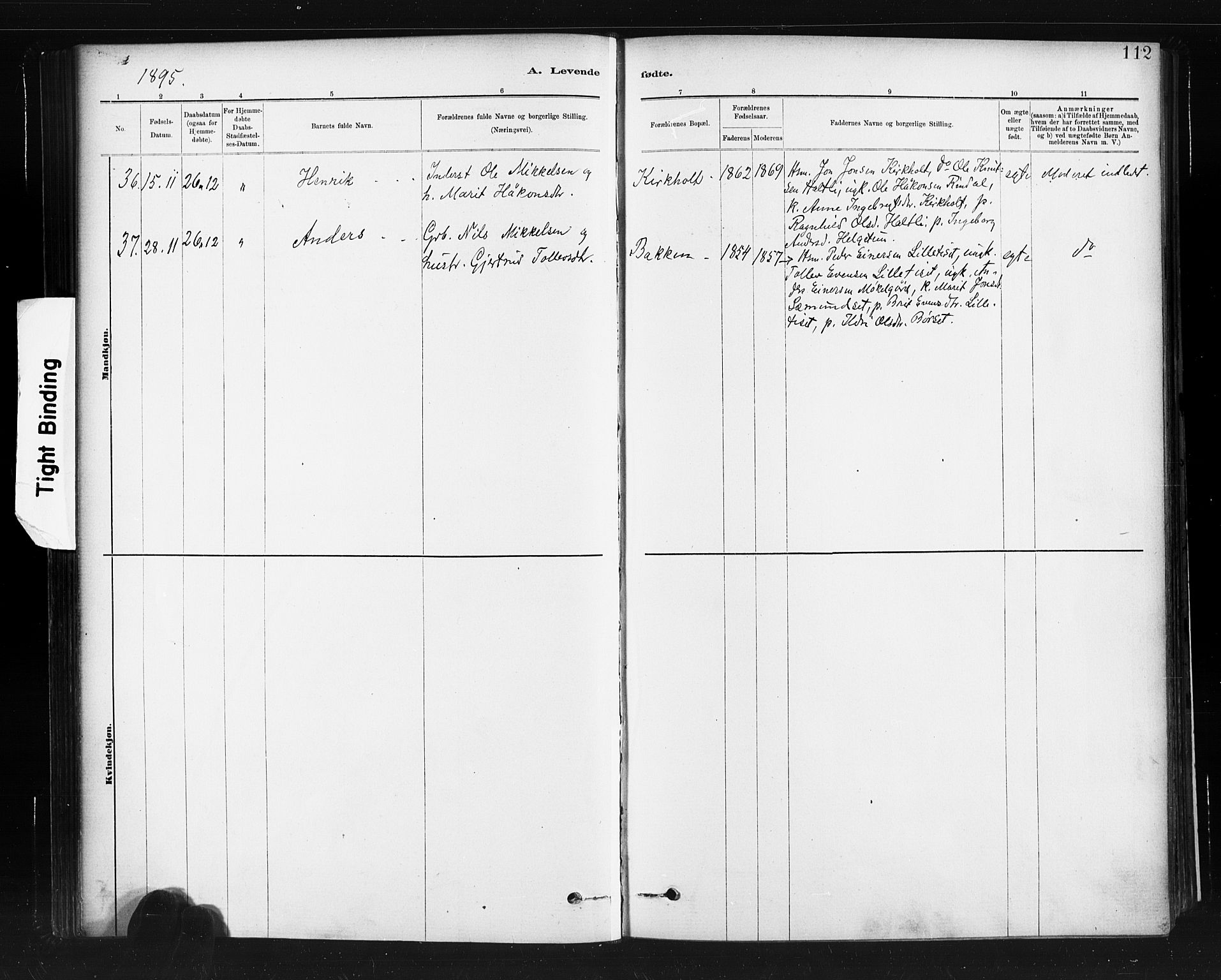 Ministerialprotokoller, klokkerbøker og fødselsregistre - Møre og Romsdal, SAT/A-1454/598/L1069: Ministerialbok nr. 598A03, 1882-1895, s. 112