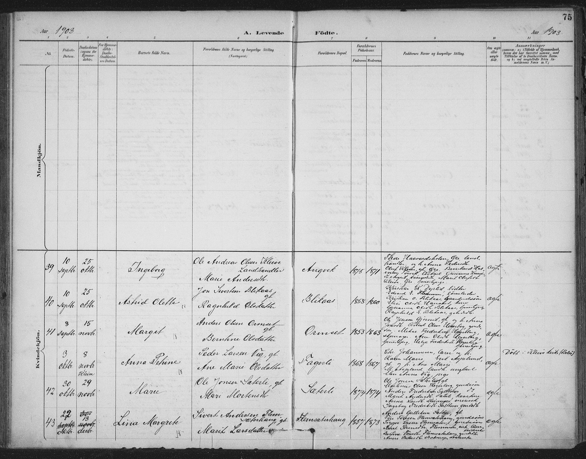 Ministerialprotokoller, klokkerbøker og fødselsregistre - Møre og Romsdal, AV/SAT-A-1454/586/L0988: Ministerialbok nr. 586A14, 1893-1905, s. 75