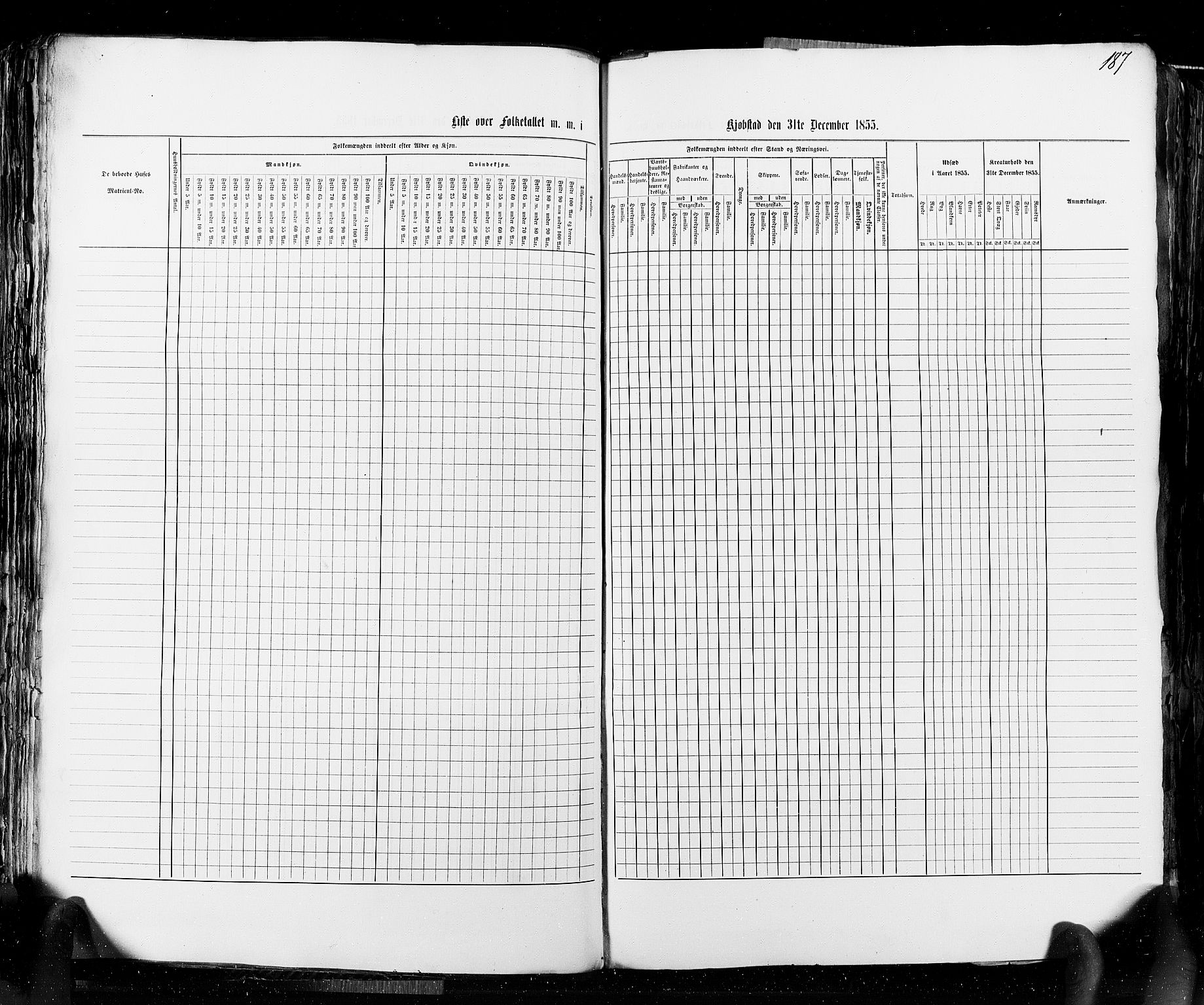 RA, Folketellingen 1855, bind 8: Kjøpsteder og ladesteder: Risør-Vadsø, 1855, s. 187