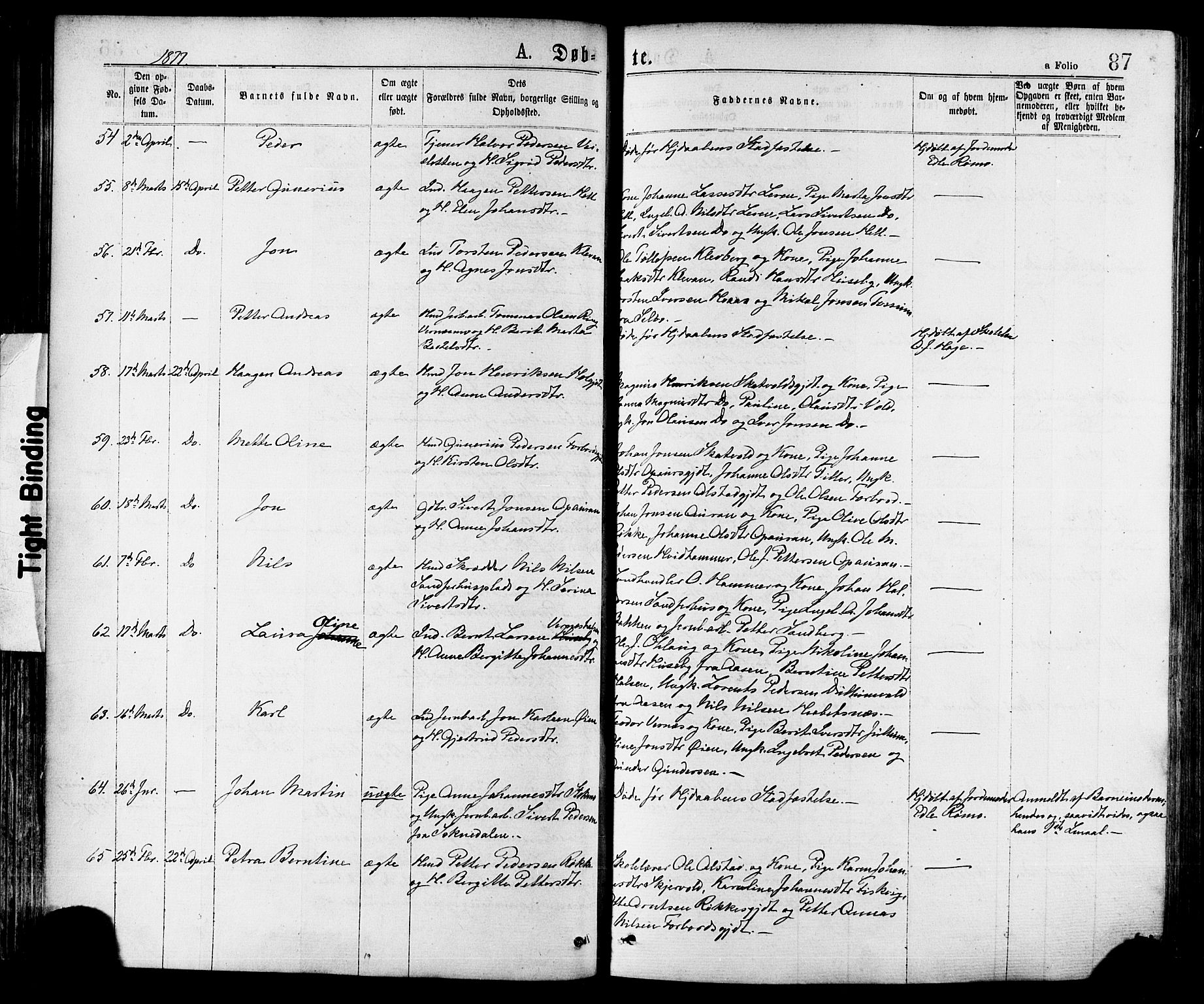 Ministerialprotokoller, klokkerbøker og fødselsregistre - Nord-Trøndelag, AV/SAT-A-1458/709/L0076: Ministerialbok nr. 709A16, 1871-1879, s. 87