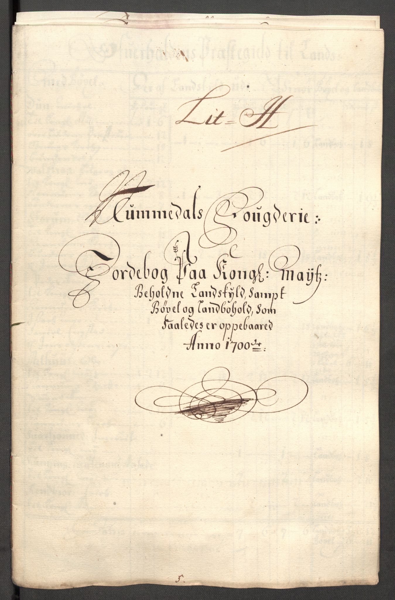 Rentekammeret inntil 1814, Reviderte regnskaper, Fogderegnskap, RA/EA-4092/R64/L4426: Fogderegnskap Namdal, 1699-1700, s. 255