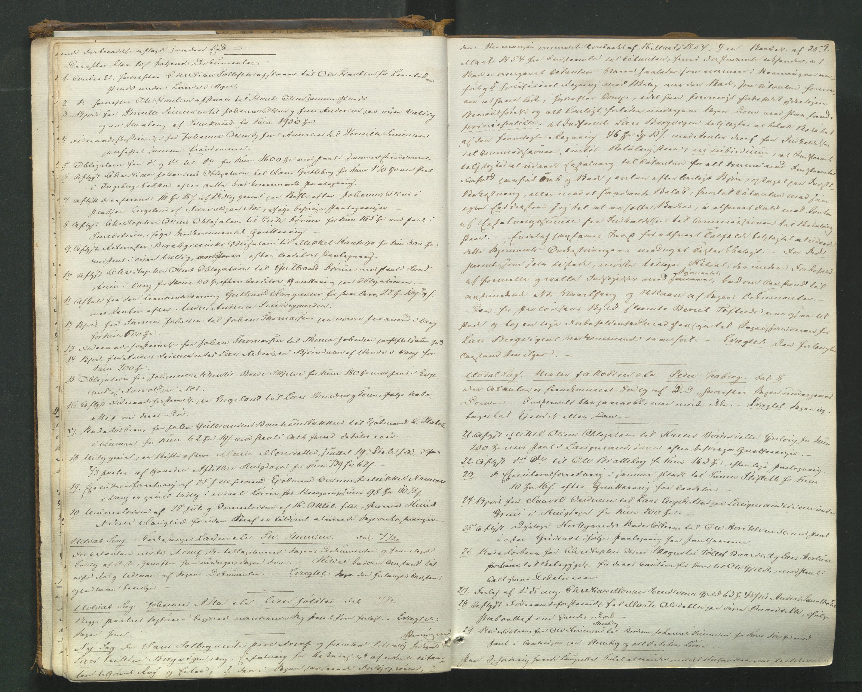 Nord-Hedmark sorenskriveri, AV/SAH-TING-012/G/Gb/L0007: Tingbok, 1854-1862, s. 8b-9a