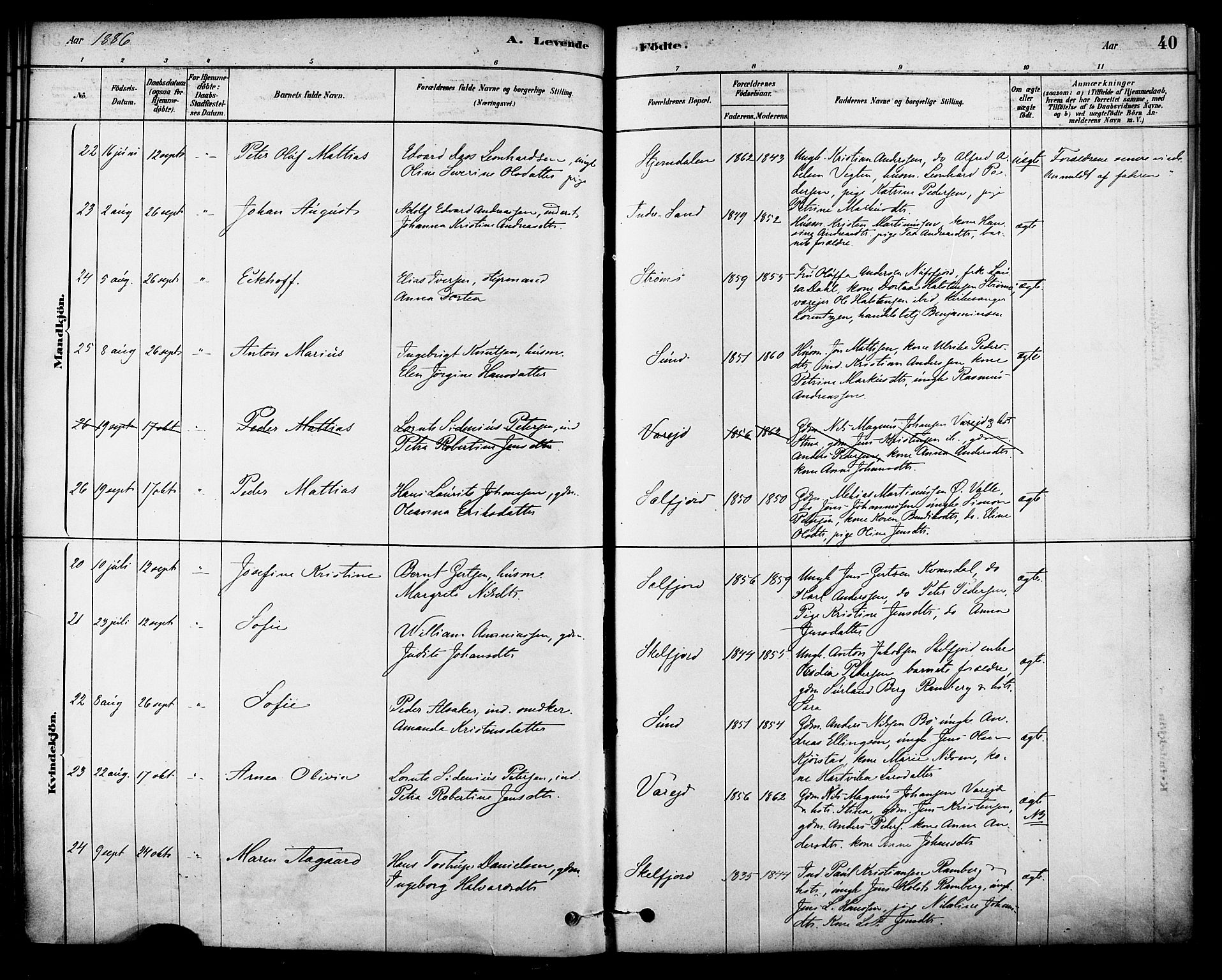 Ministerialprotokoller, klokkerbøker og fødselsregistre - Nordland, SAT/A-1459/885/L1204: Ministerialbok nr. 885A05, 1878-1892, s. 40