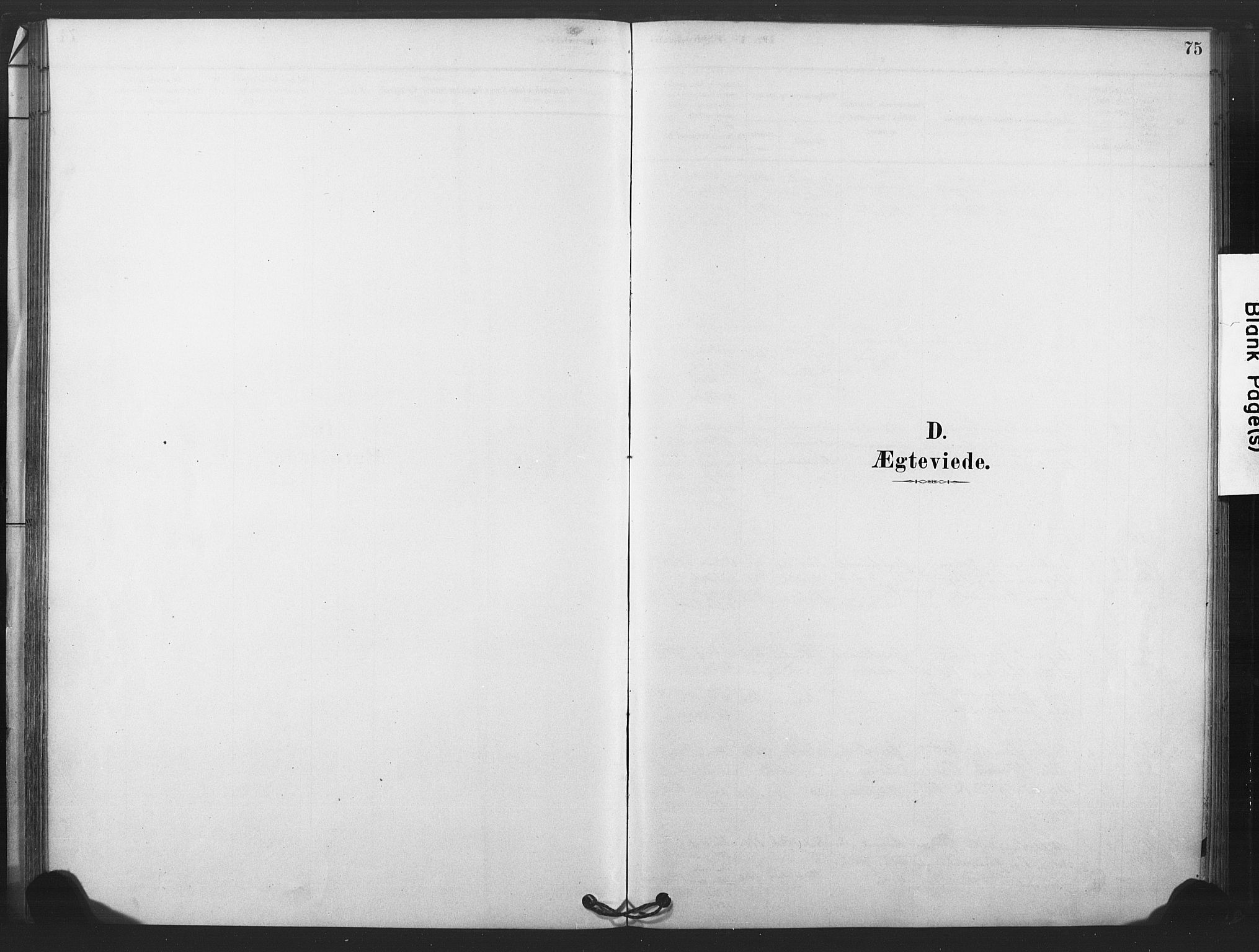 Rollag kirkebøker, SAKO/A-240/F/Fb/L0001: Ministerialbok nr. II 1, 1878-1899, s. 75